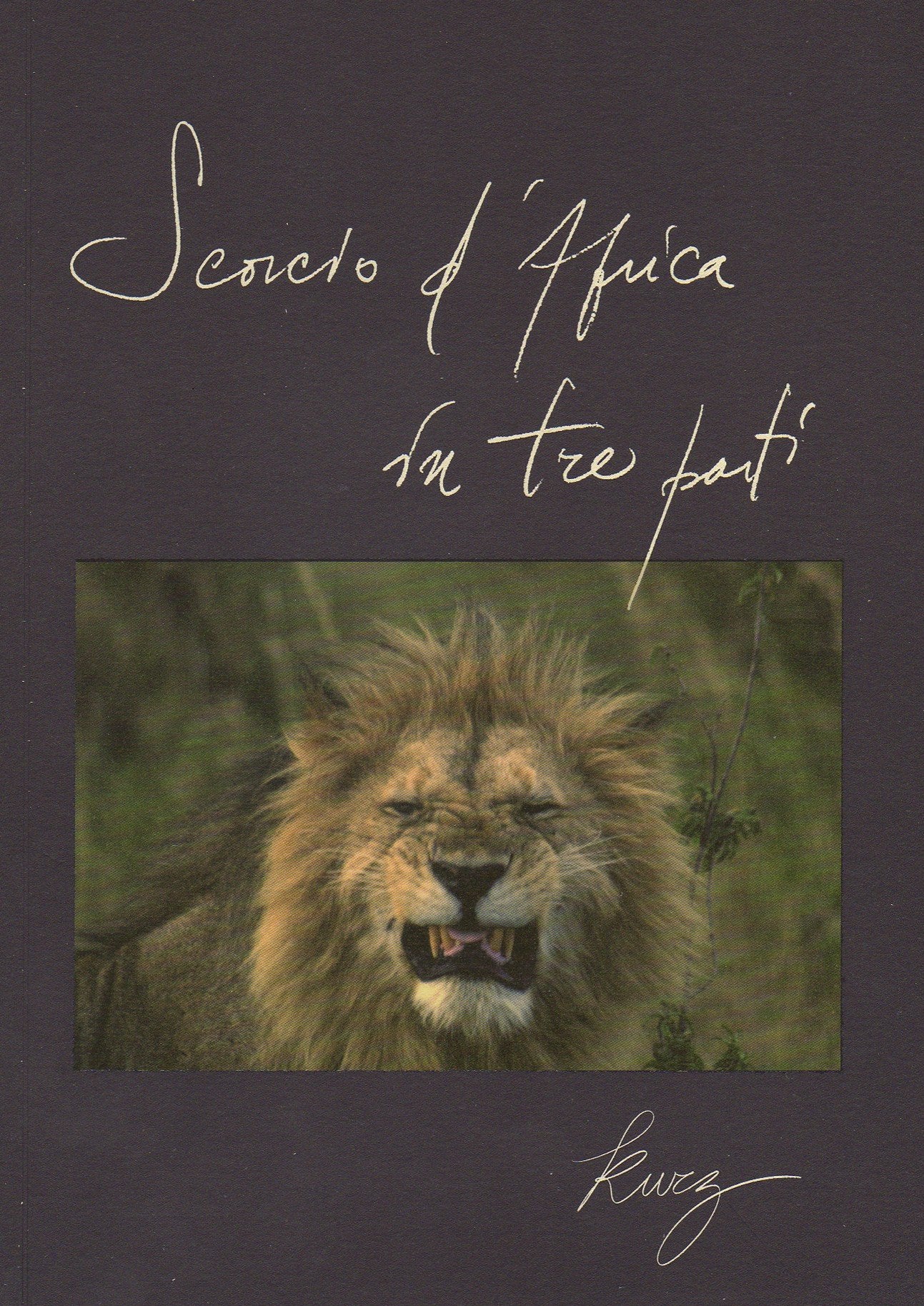 Scorcio d'Africa in tre parti book