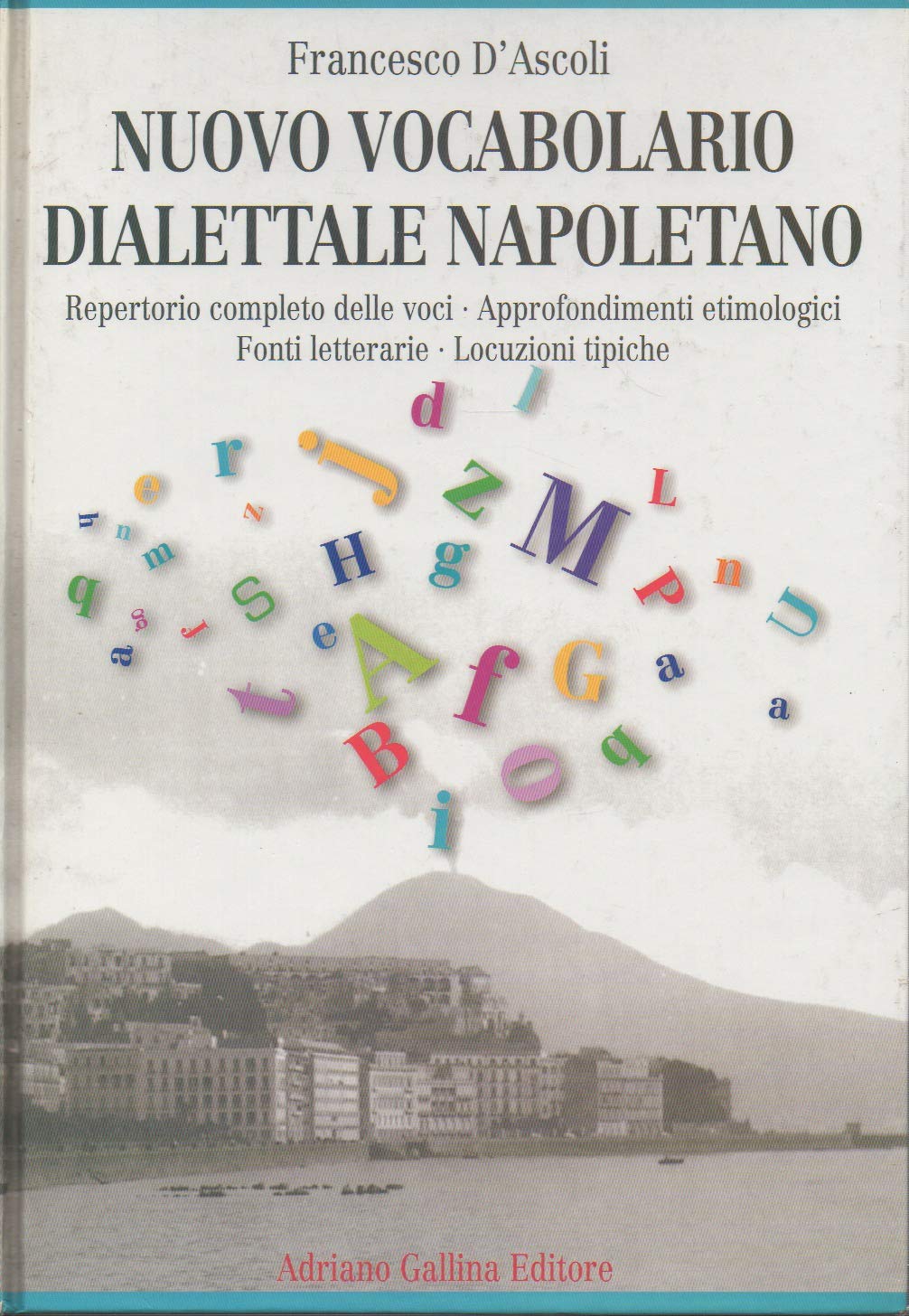 Nuovo vocabolario dialettale napoletano book
