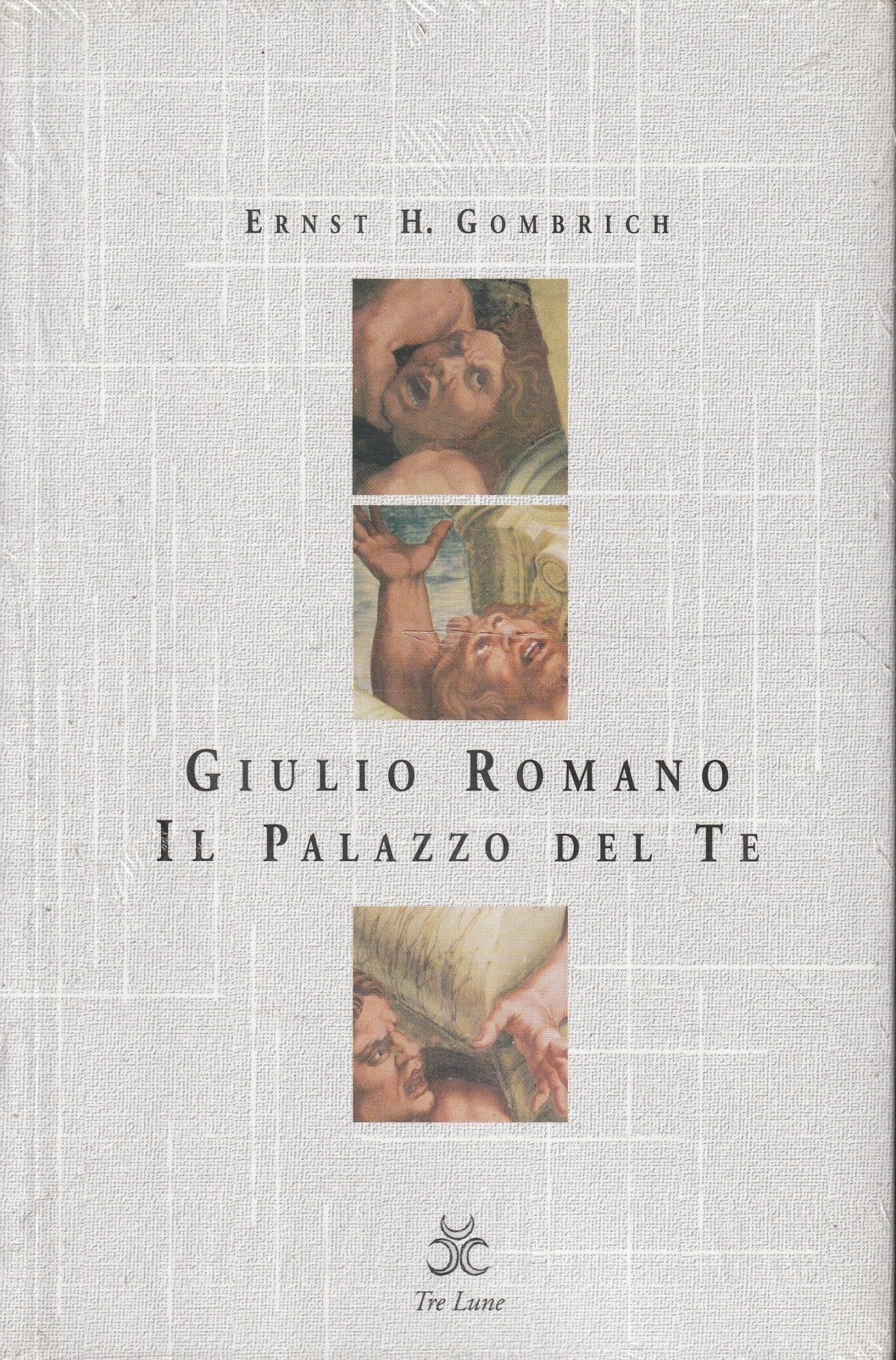 Giulio Romano. Il palazzo del Te. Ediz. illustrata (Asteres) Architecture