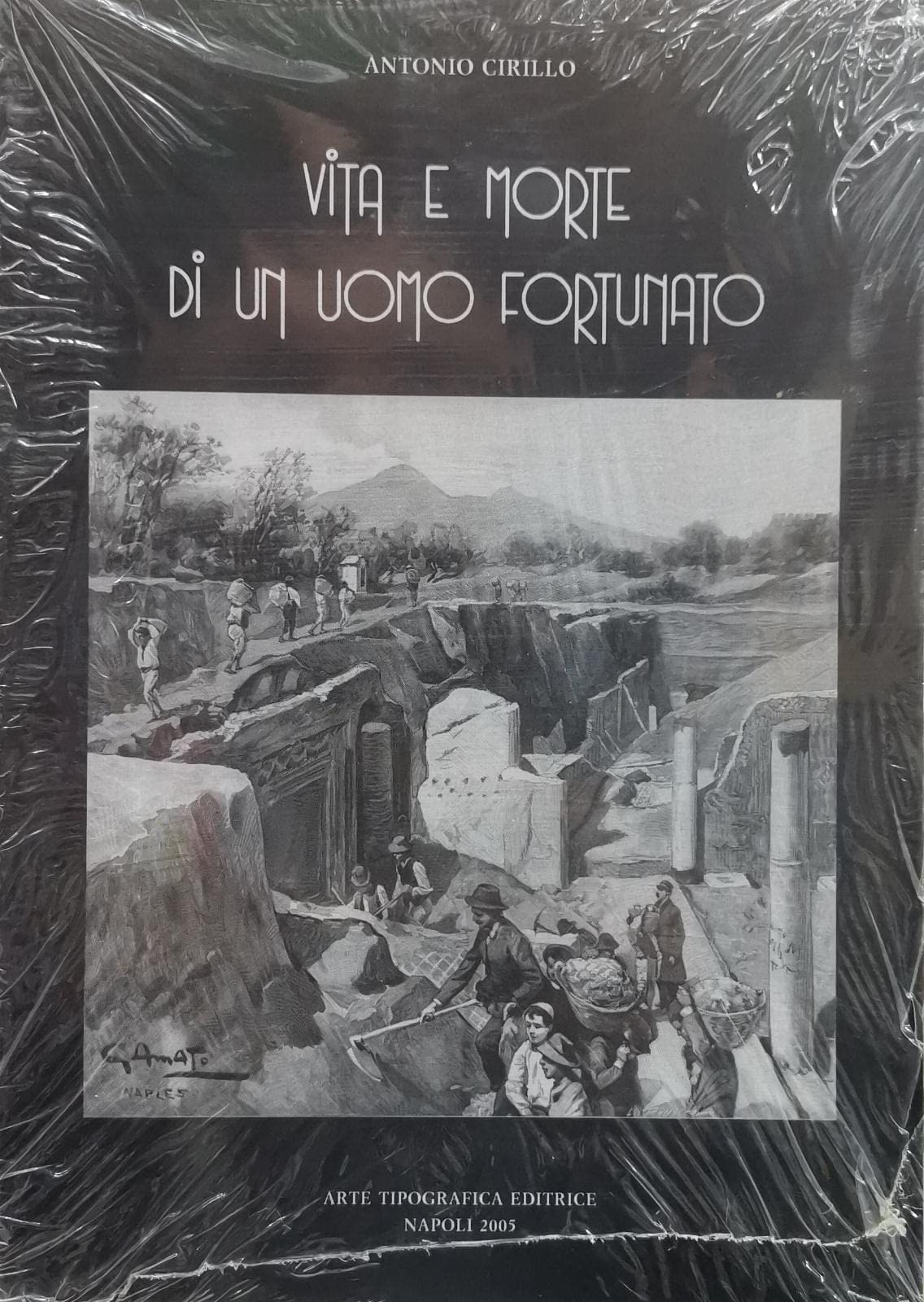 Vita e morte di un uomo fortunato book