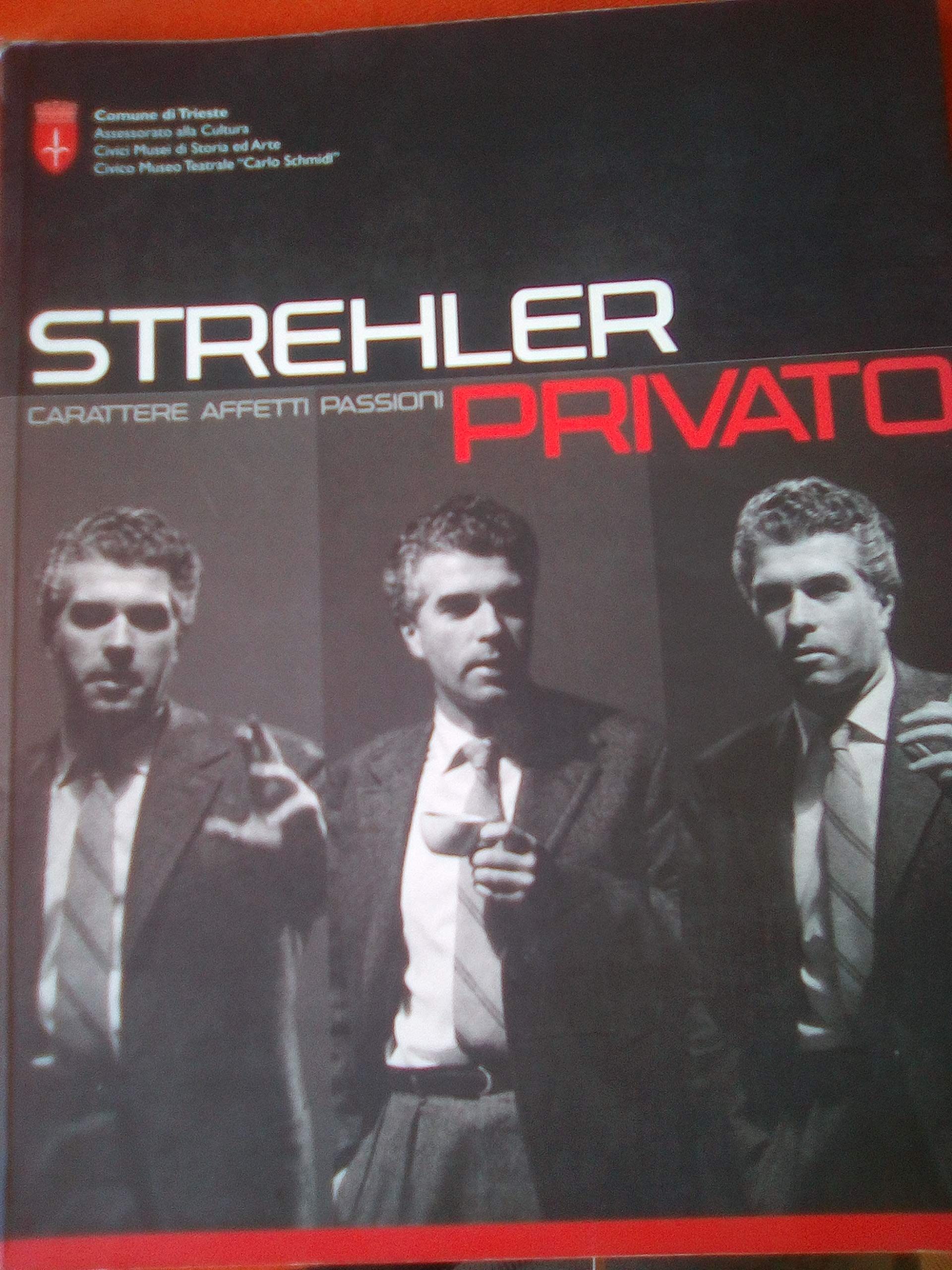 Strehler privato: carattere, affetti, passioni book