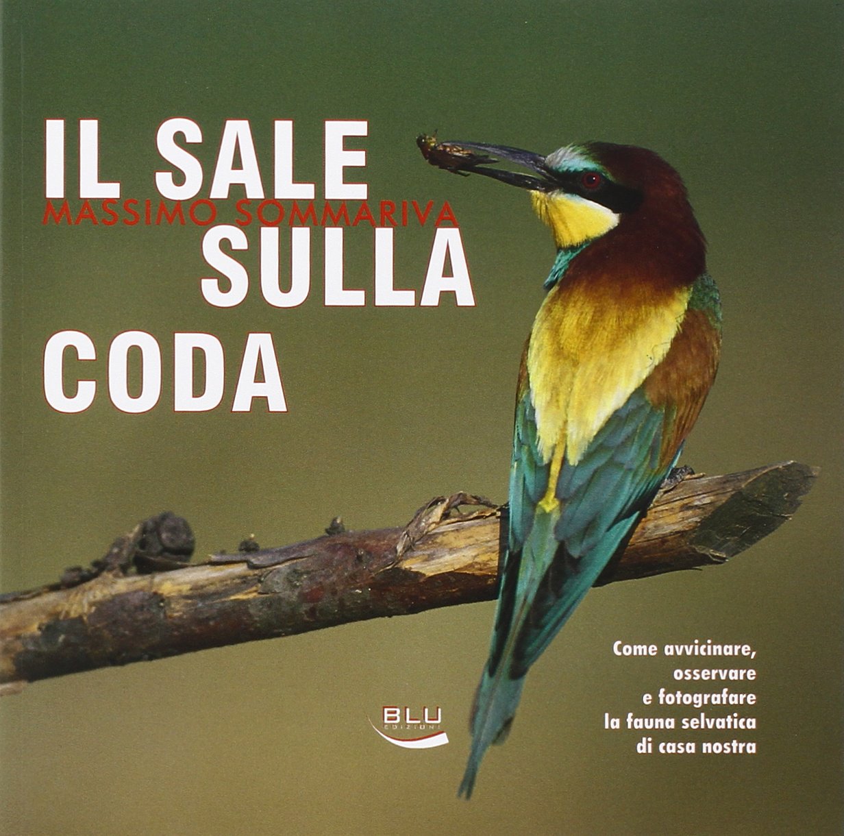 Il sale sulla coda. Come avvicinare, osservare e fotografare la fauna selvatica di casa nostra book