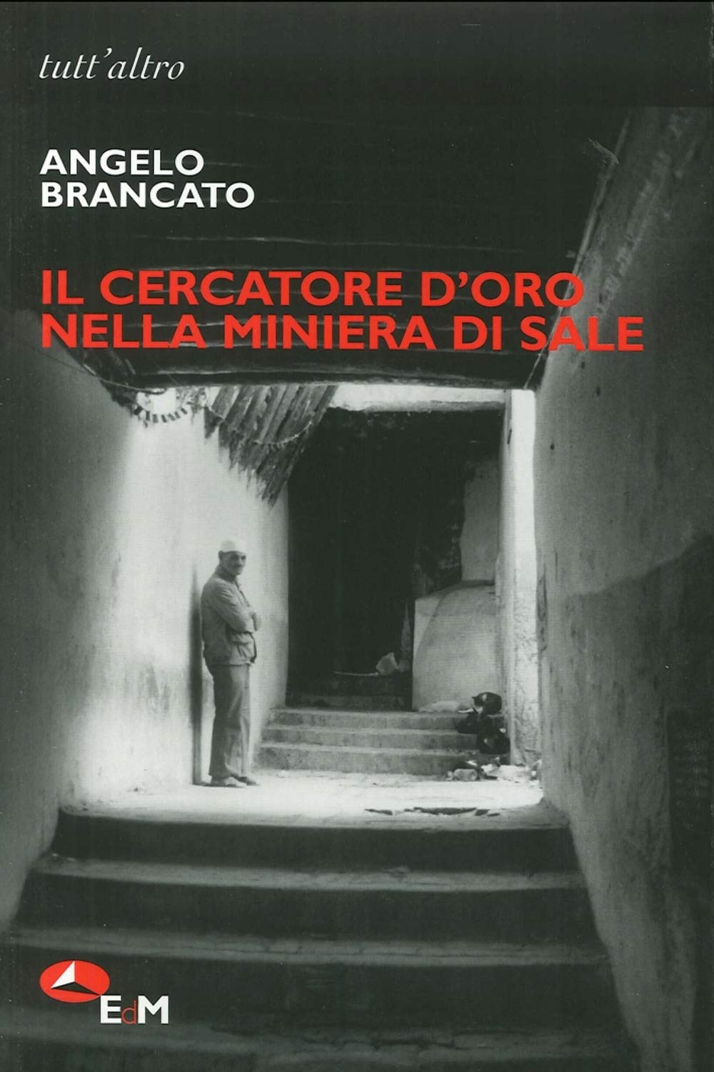 Il cercatore d'oro nella miniera di sale book