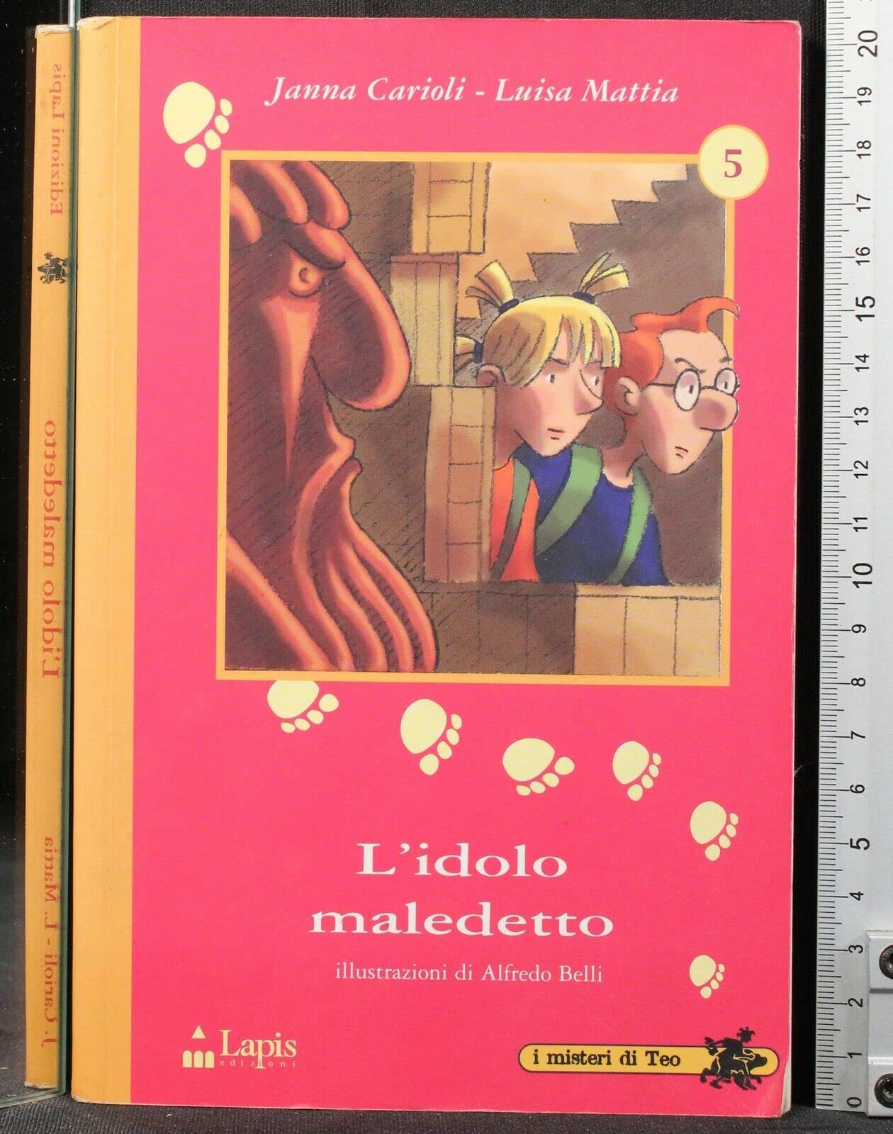 L'idolo maledetto book
