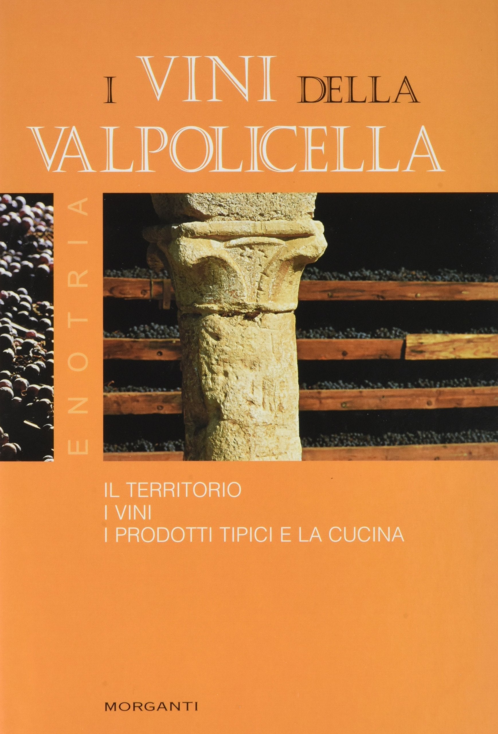 I vini della Valpolicella book
