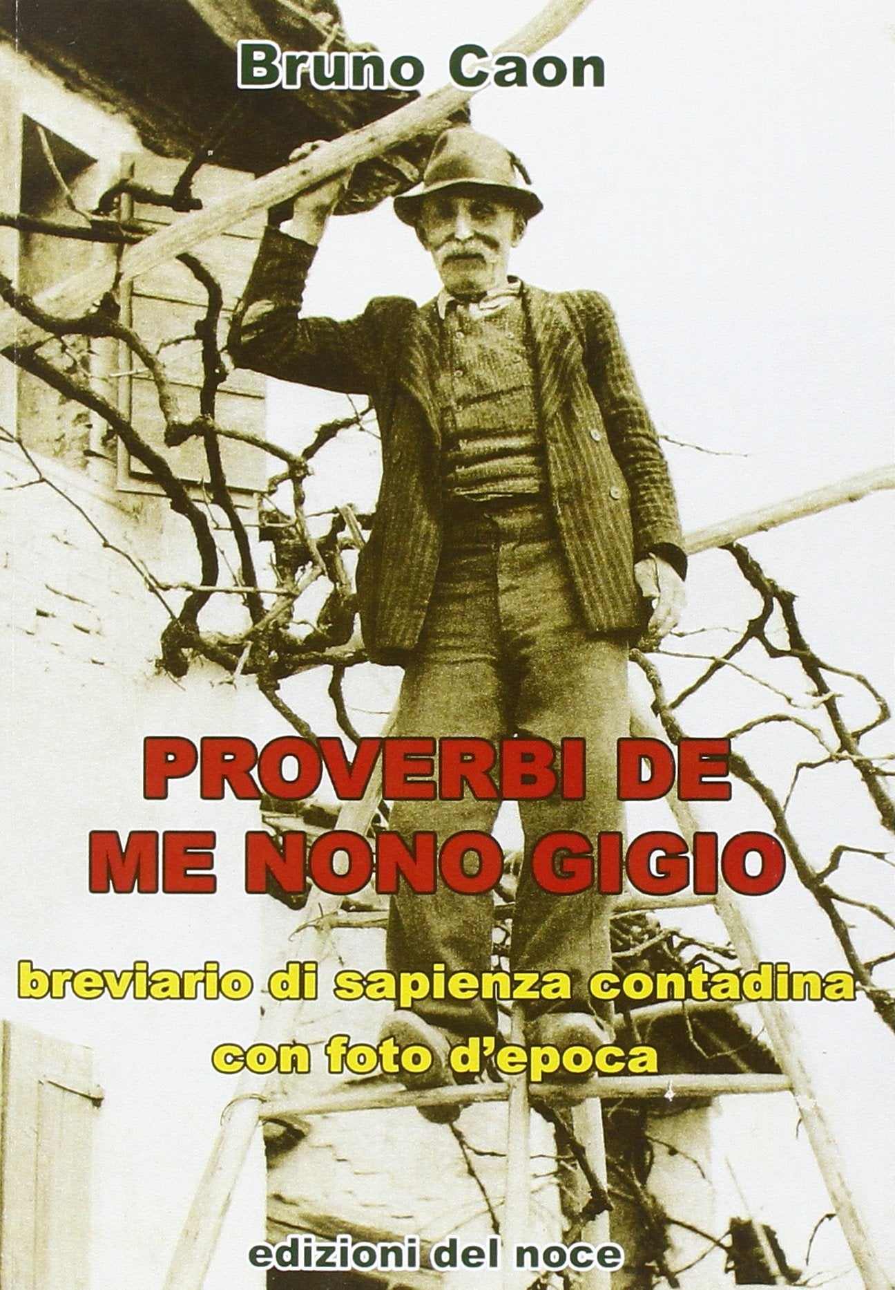 Proverbi de me nono Gigio. Breviario di sapienza contadina con foto d'epoca (Civiltà veneta) Books