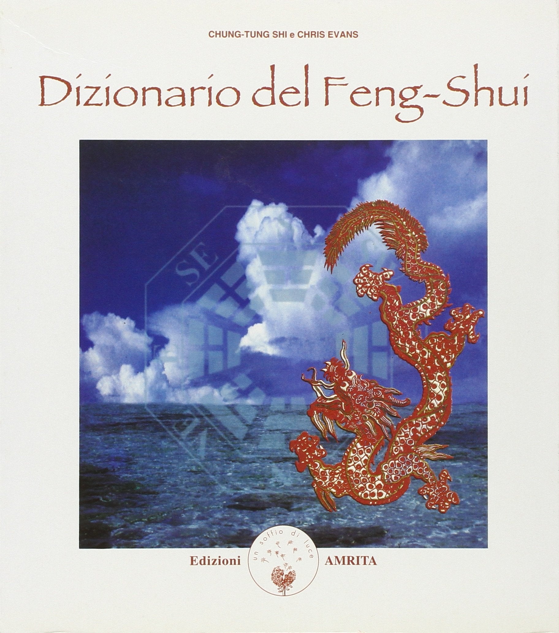 Dizionario del feng shui book