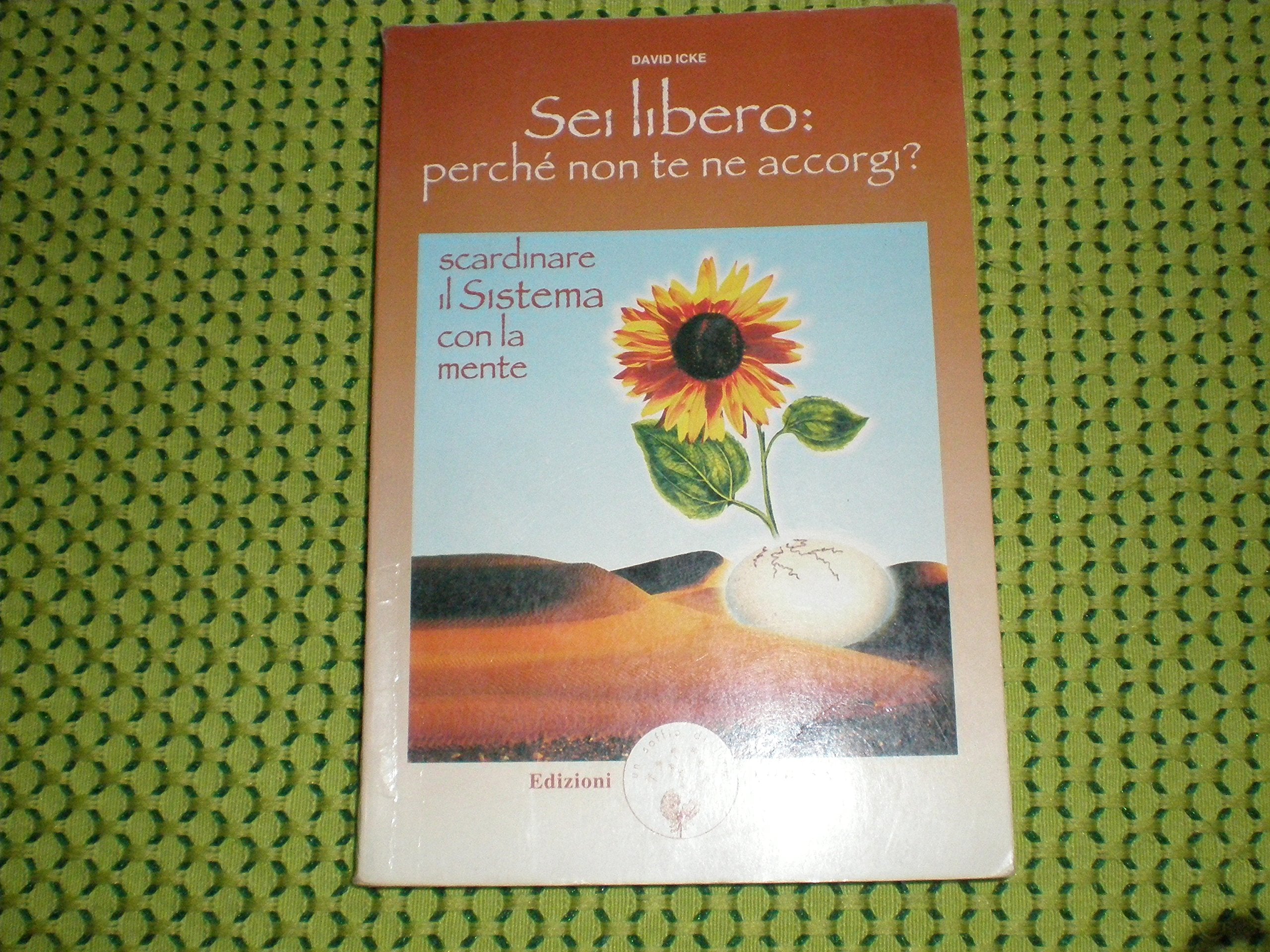 Sei libero. Perché non te ne accorgi? Scardinare il sistema con la mente book