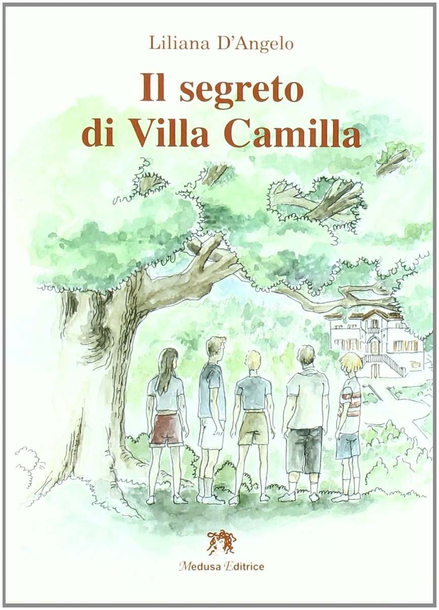 Il segreto di villa Camilla book