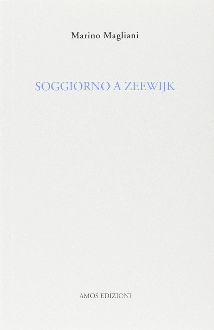 Soggiorno a Zeewijk book