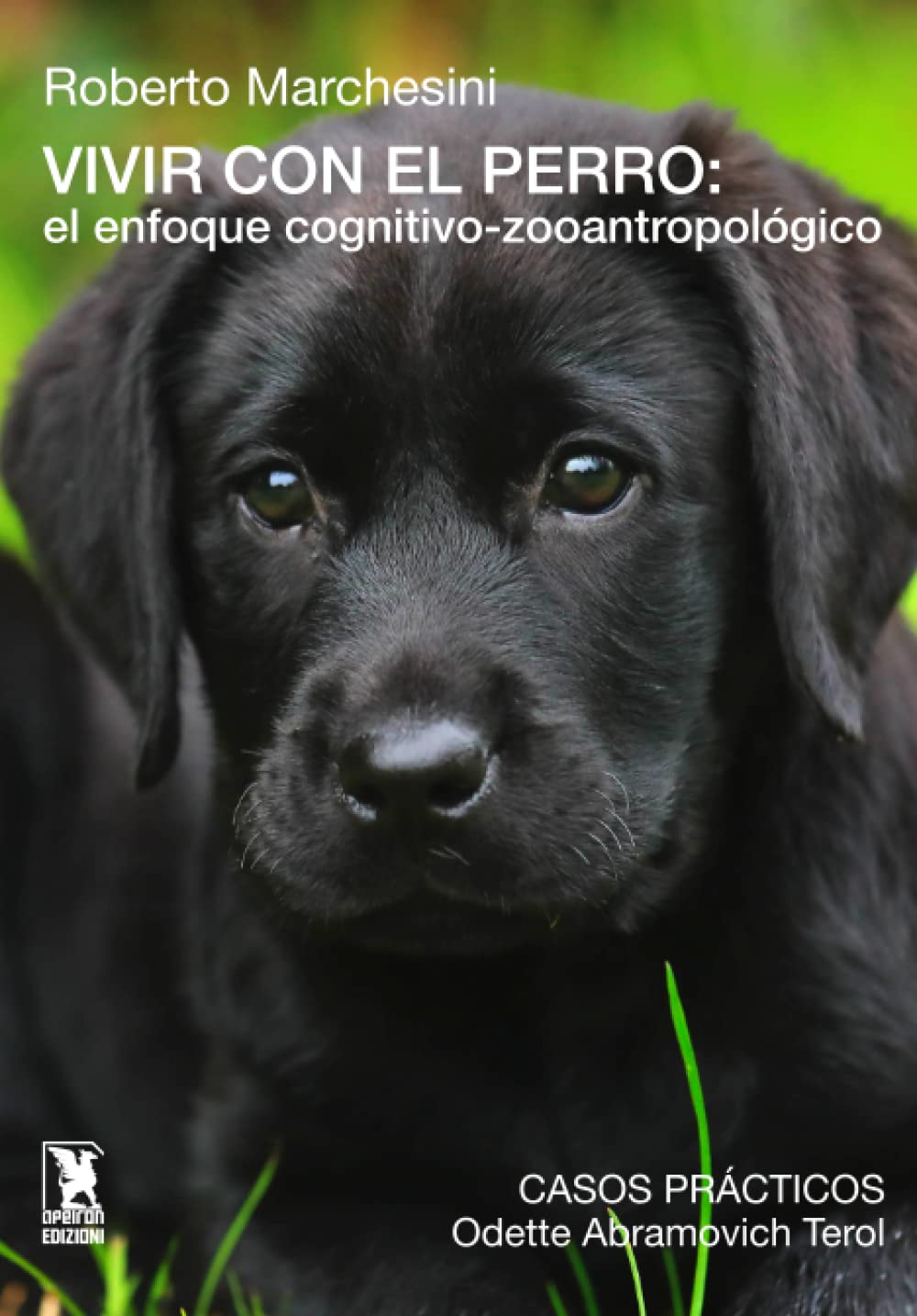 Vivir con el perro: el enfoque cognitivo-zooantropológico Mathematics