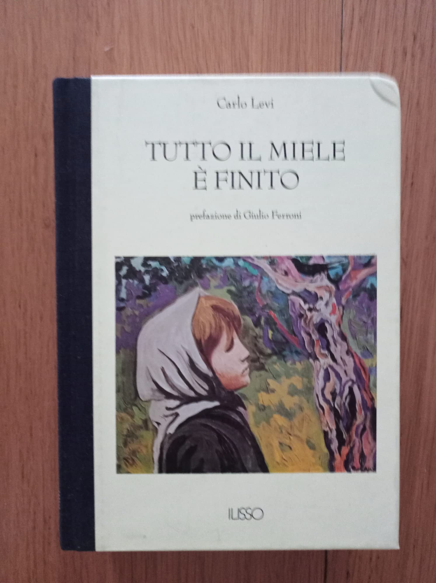 Tutto il miele è finito (Bibliotheca sarda) Leisure, Home & Garden