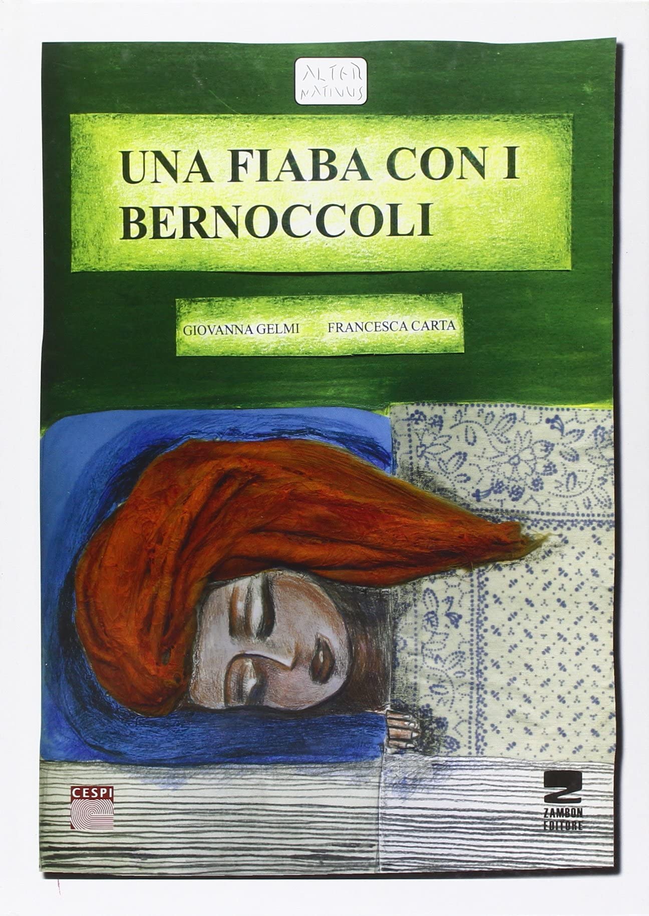 Una fiaba con i bernoccoli book