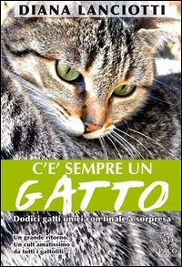 C'è sempre un gatto. Dodici gatti unici con finale a sorpresa book