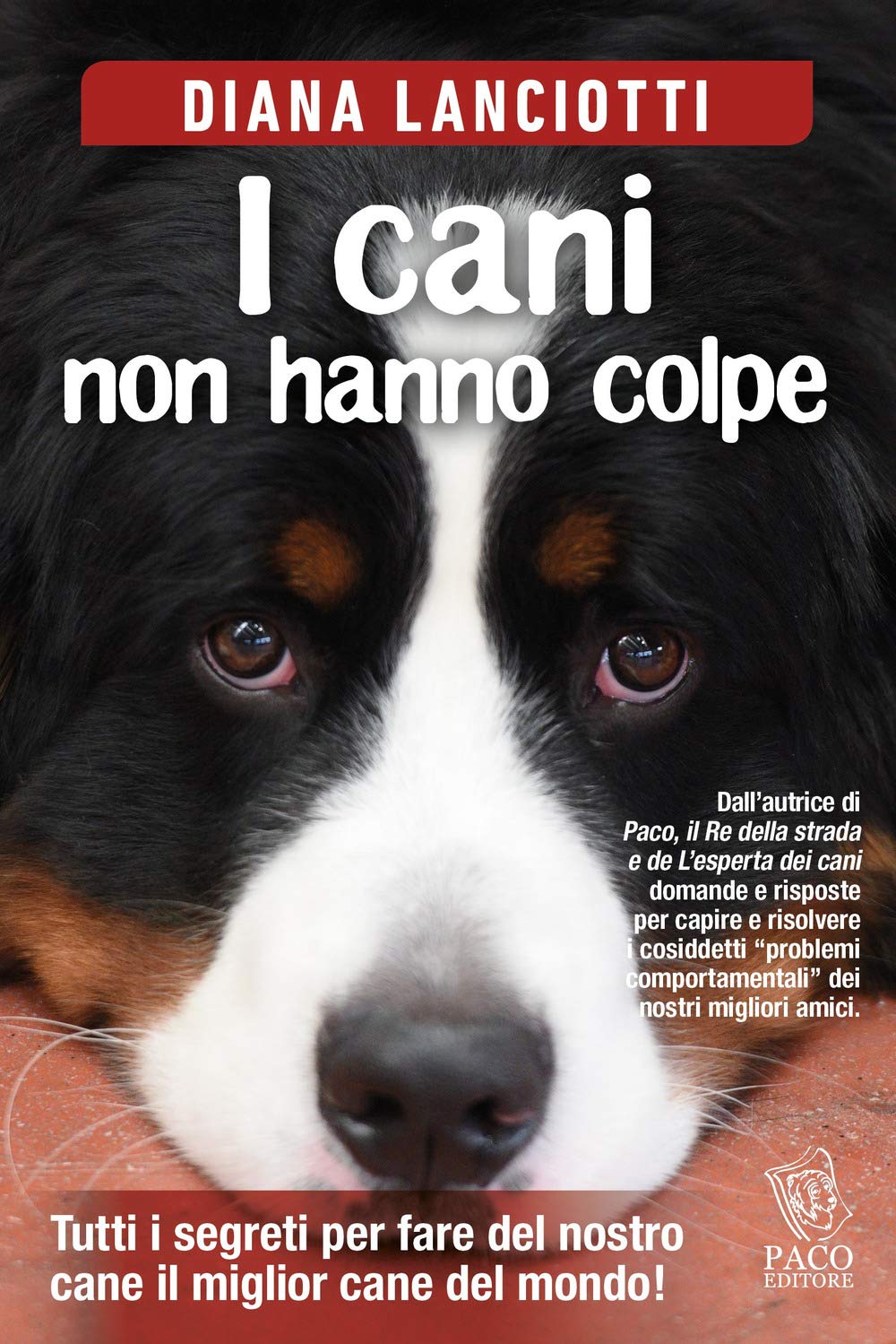 I cani non hanno colpe book