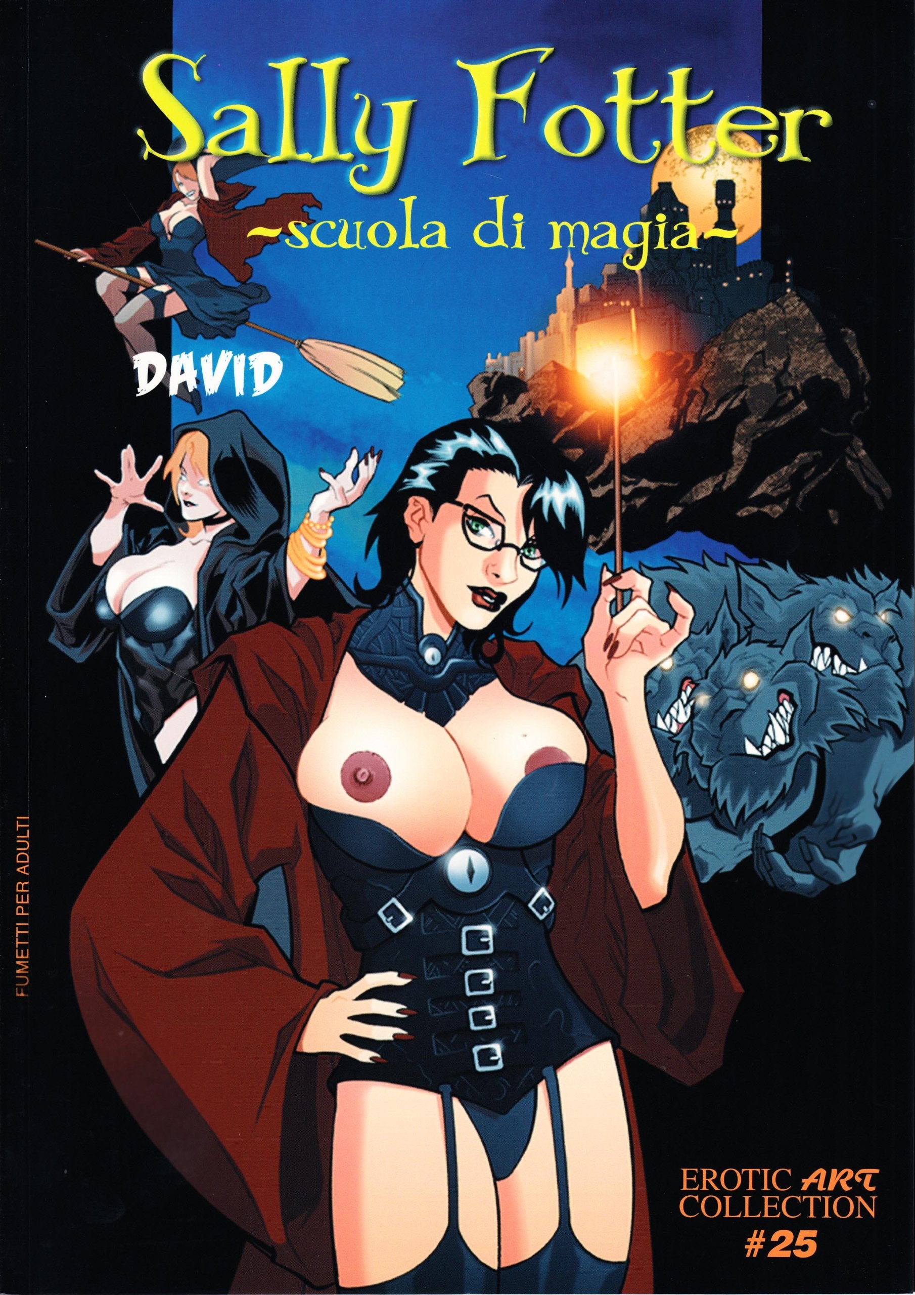 Sally Fotter. Scuola di magia (Erotic art collection) Manga