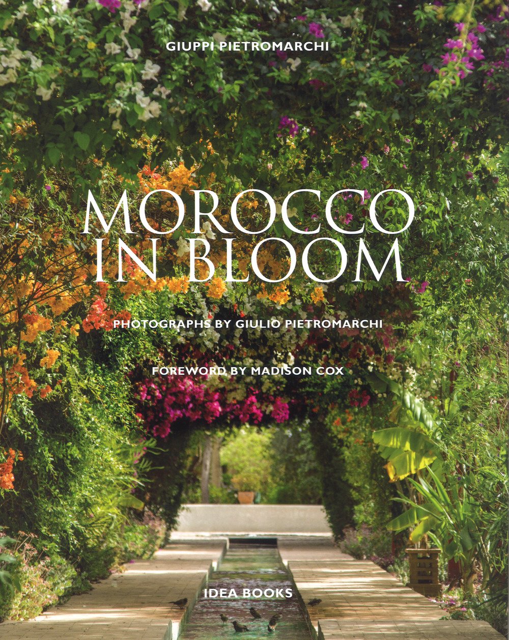 Morocco in bloom. Ediz. illustrata book