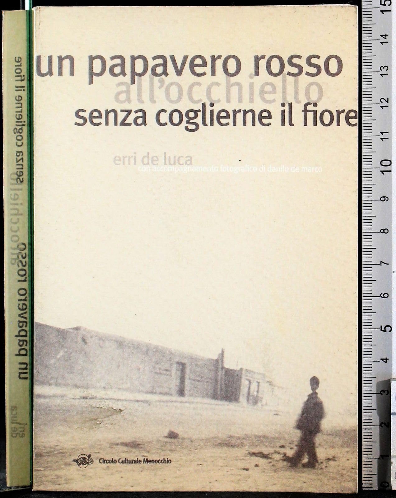 Un papavero rosso all'occhiello senza coglierne il fiore book