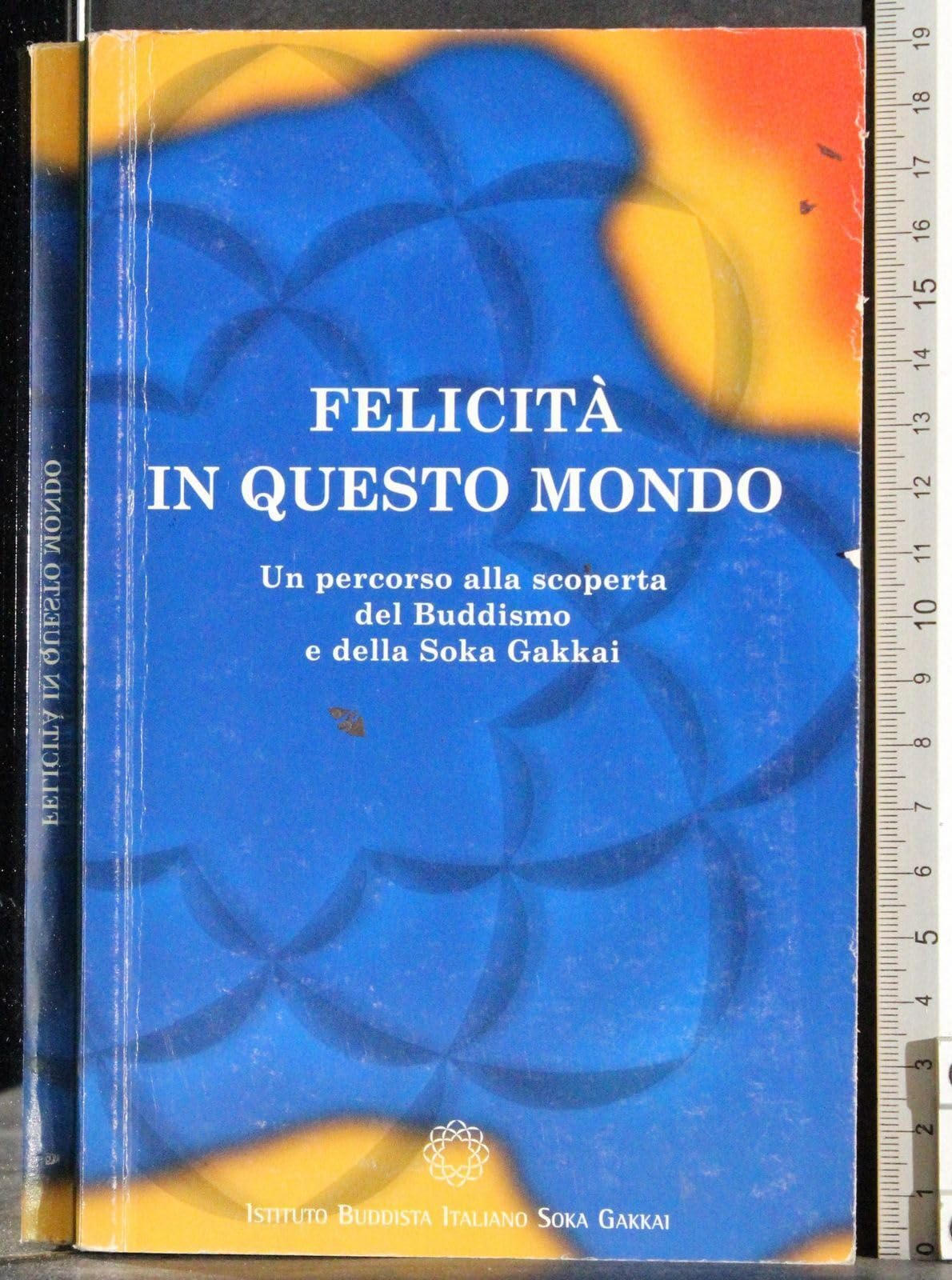 Felicità in questo mondo. Un viaggio alla scoperta del buddismo e della felicità Religion & Esotericism