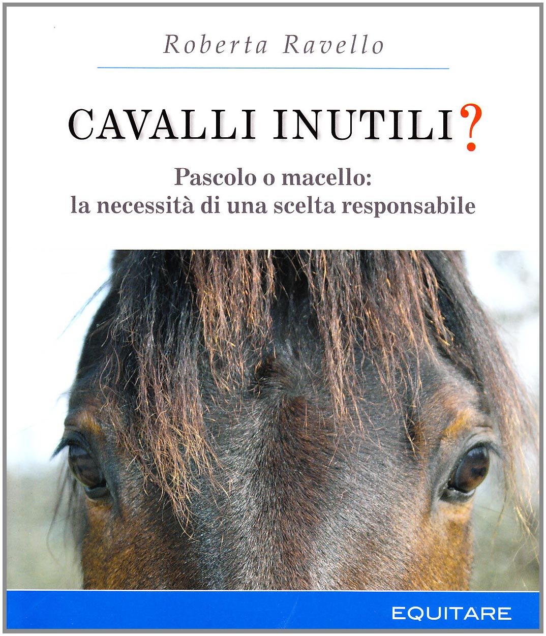 Cavalli inutili? Pascolo o macello: la necessità di una scelta responsabile Pets
