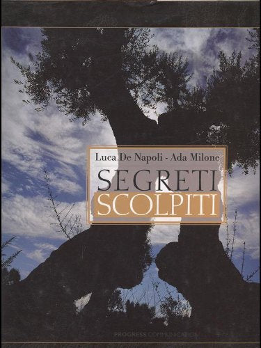Segreti scolpiti. Ediz. multilingue Travel