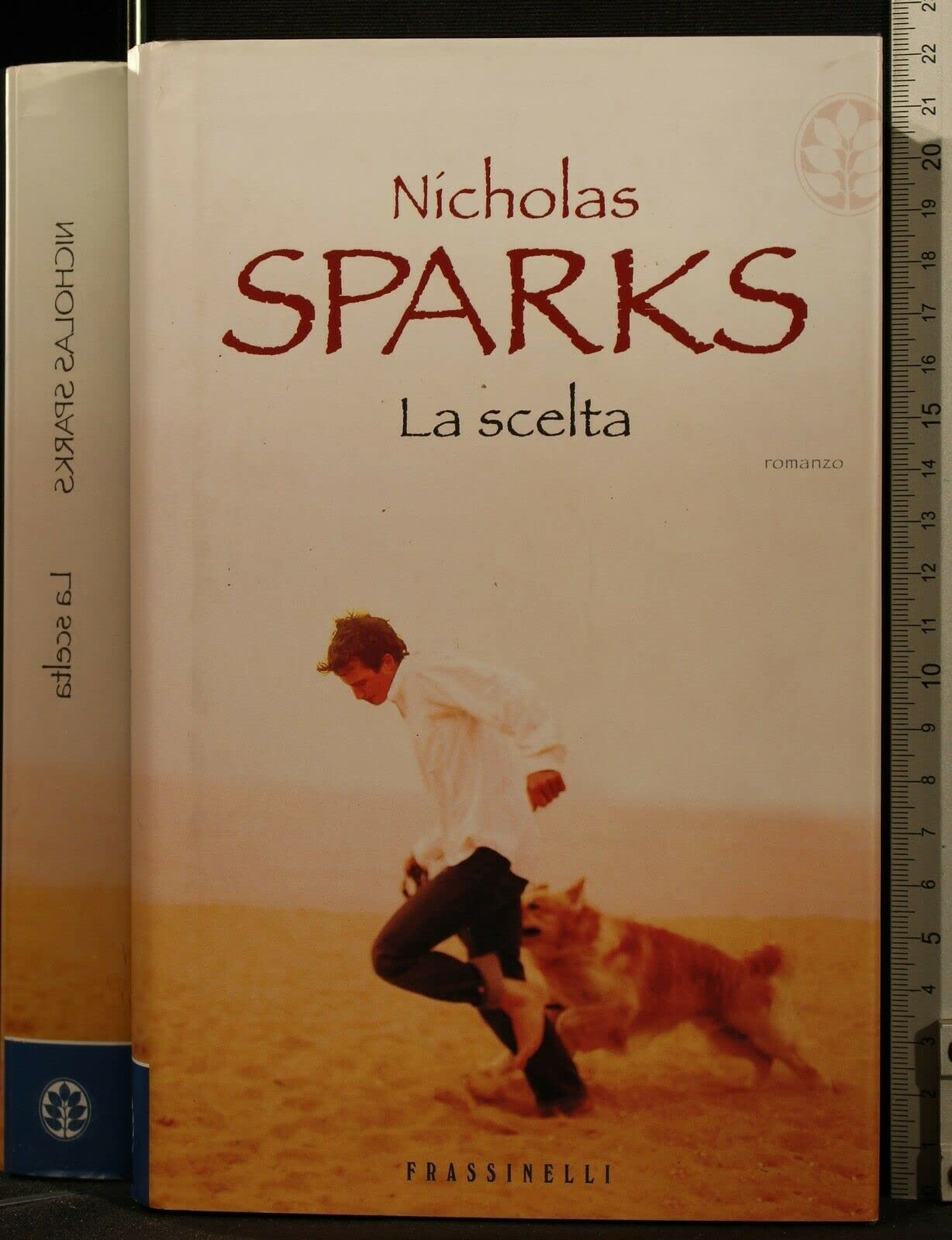 La scelta (Italienisch) Gebundene Ausgabe – 1. Januar 2008 (Frassinelli narrativa straniera) Contemporary literature