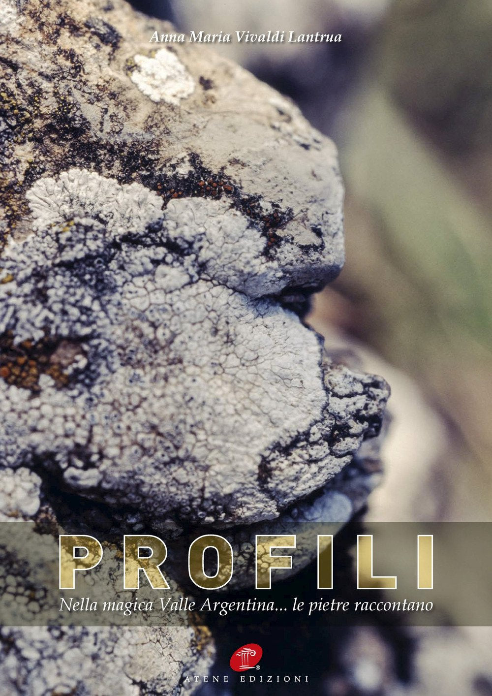 Profili. Nella magica Valle Argentina... le pietre raccontano. Ediz. illustrata book
