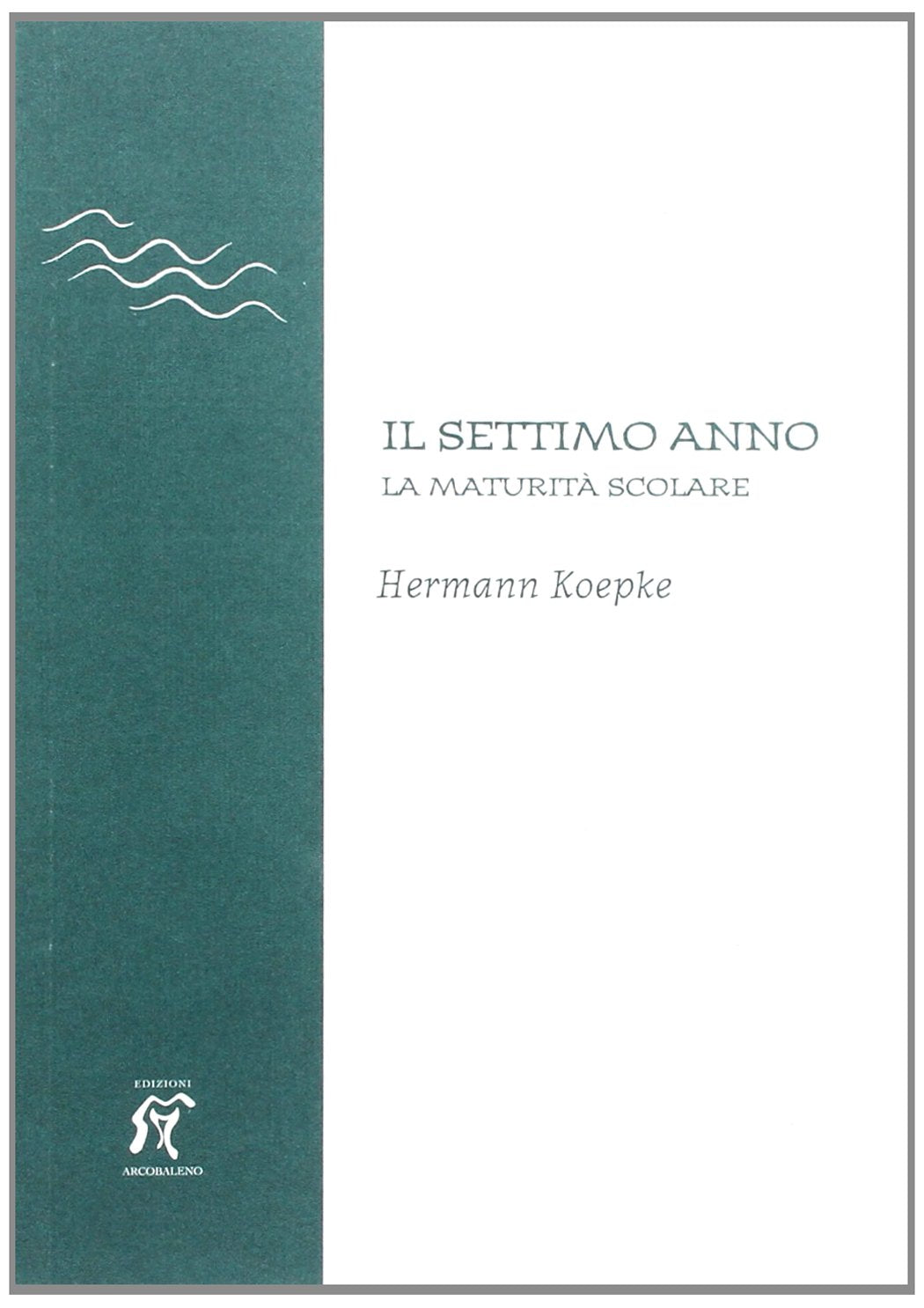 Il settimo anno. La maturità scolare book