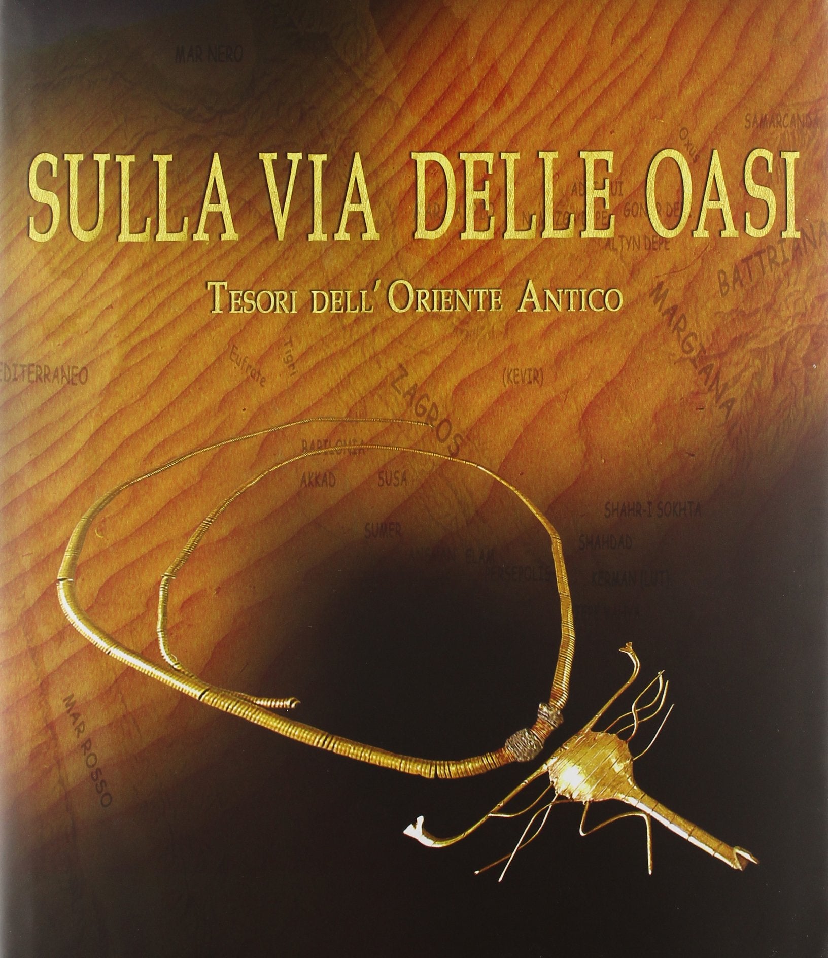 Sulla via delle oasi. Tesori dell'Oriente antico. Ediz. illustrata (I know the Central Asia) Natural Sciences