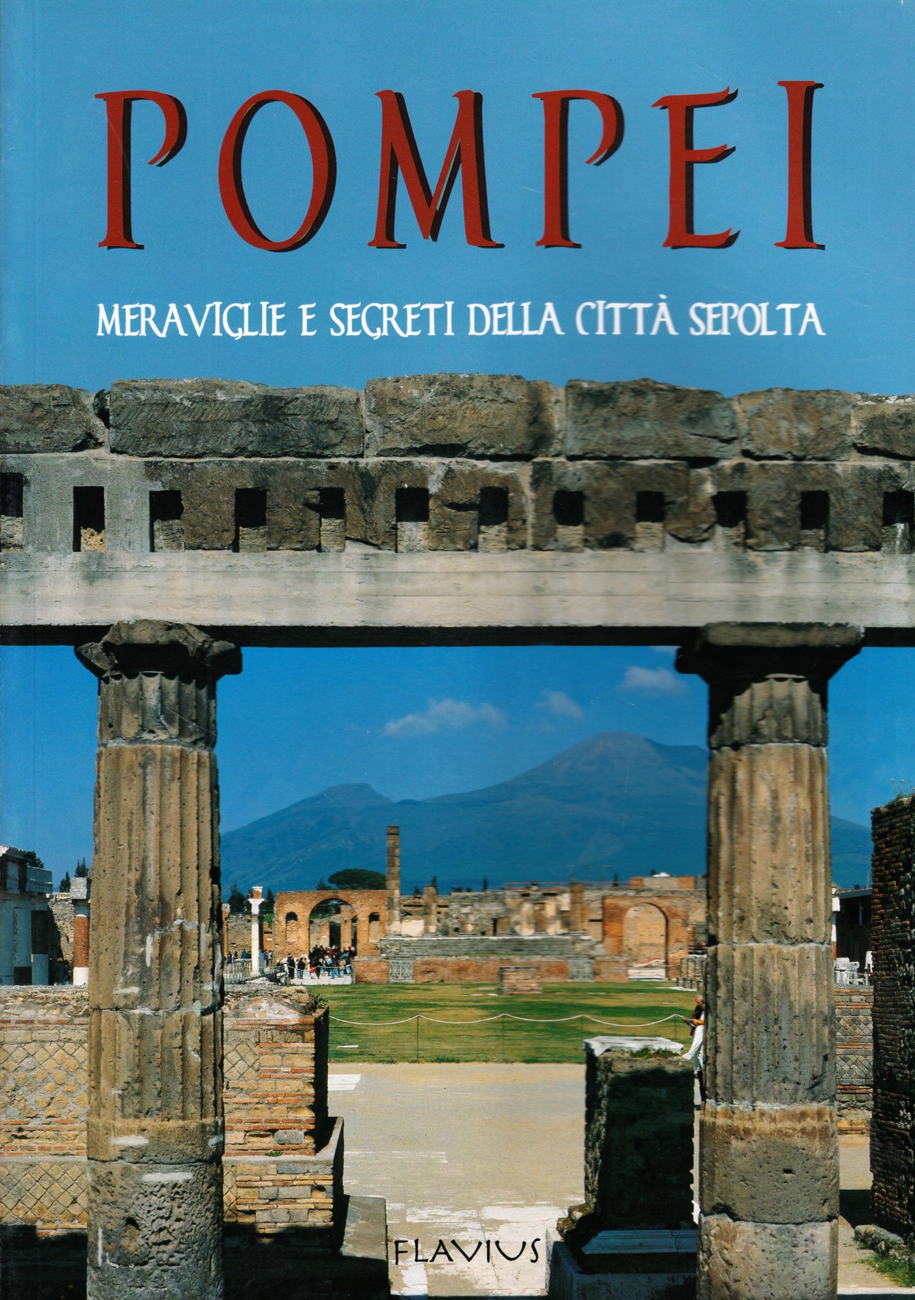 Pompei. Meraviglie e segreti della città sepolta book