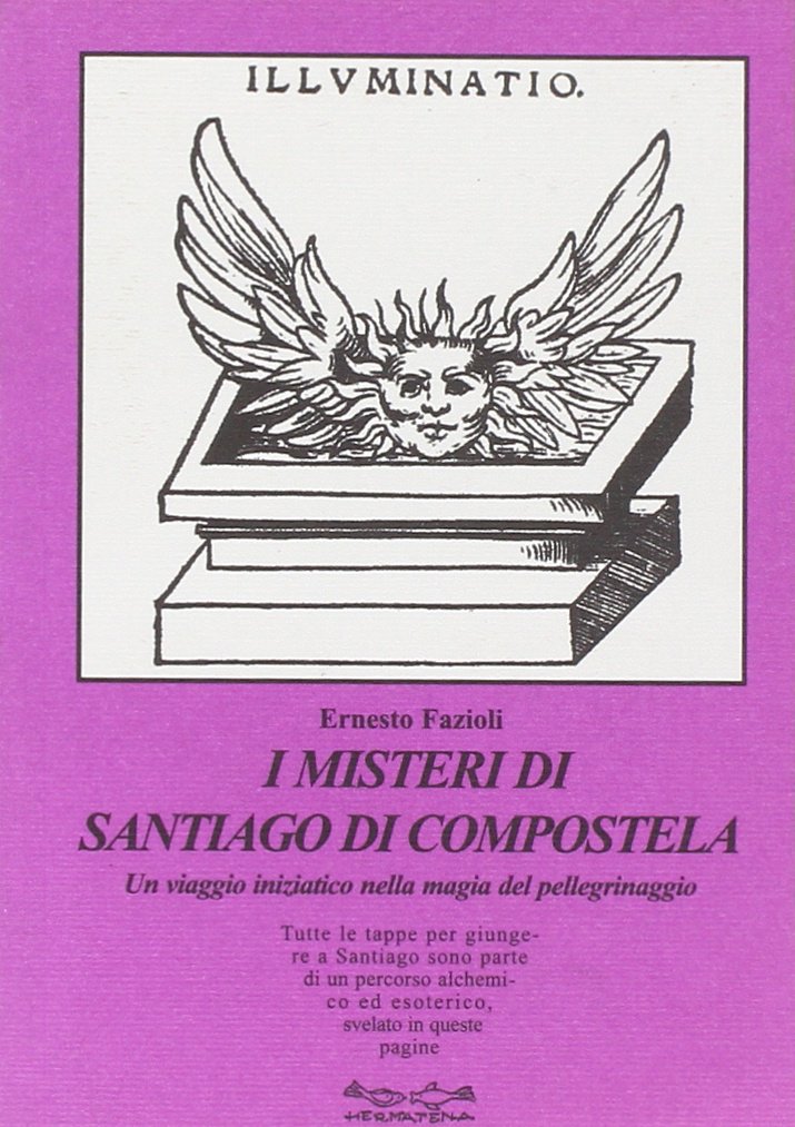 I misteri di Santiago di Compostela. Un viaggio iniziatico nella magia del pellegrinaggio book