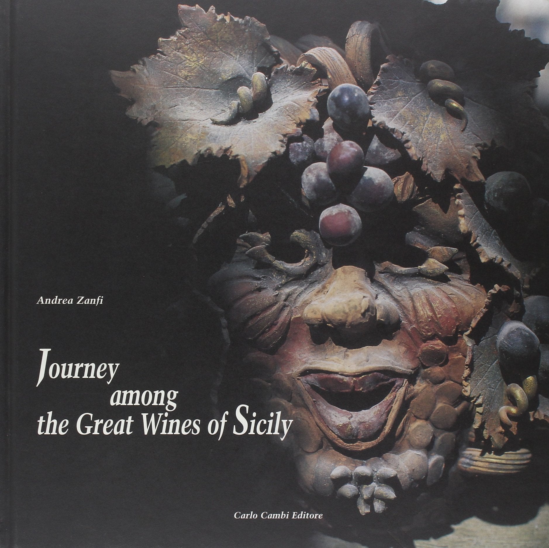 Journey Among the Great Wines of Sicily (Le grandi aziende vitivinivole d'Italia) Leisure, Home & Garden