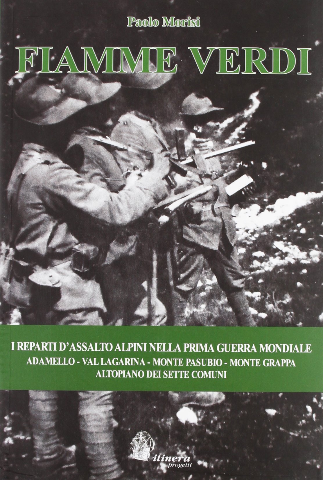 Fiamme Verdi. I reparti d'assalto alpini nella prima guerra mondiale. Adamello, Val Lagarina, Monte Pasubio, Monte Grappa, Altopiano dei Sette Comuni Politics & History