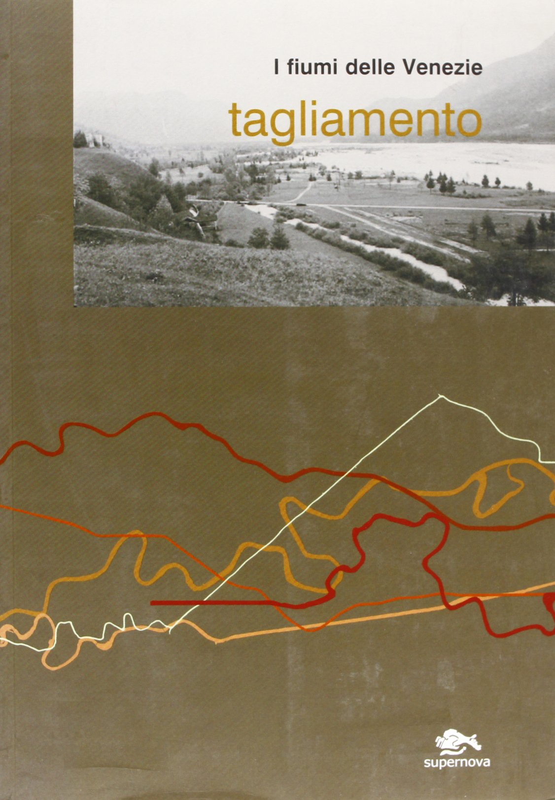 I fiumi delle Venezie. Tagliamento (Saggi) Geology & Geography