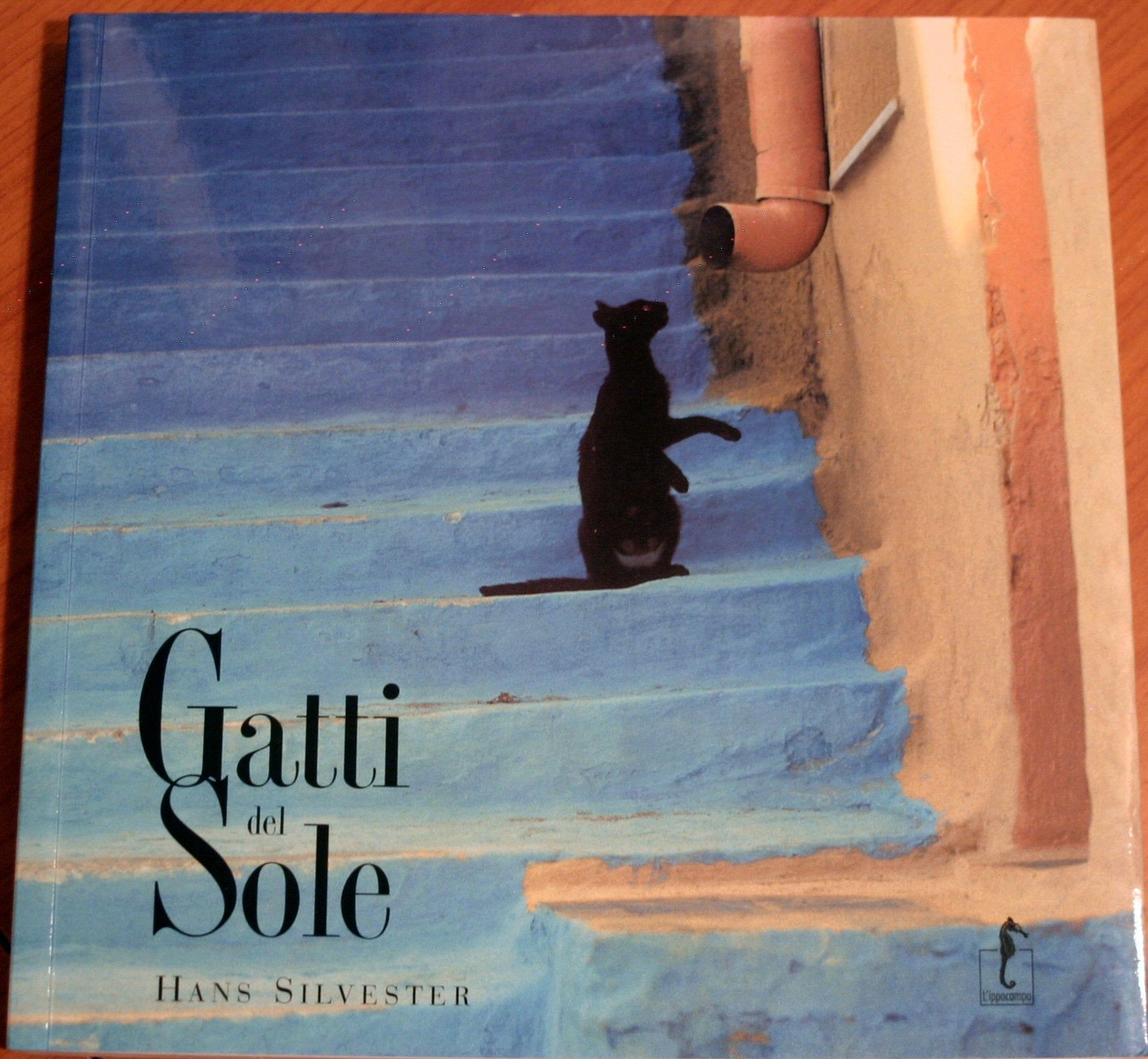 Gatti del sole. Ediz. illustrata (Pets & kids) Travel