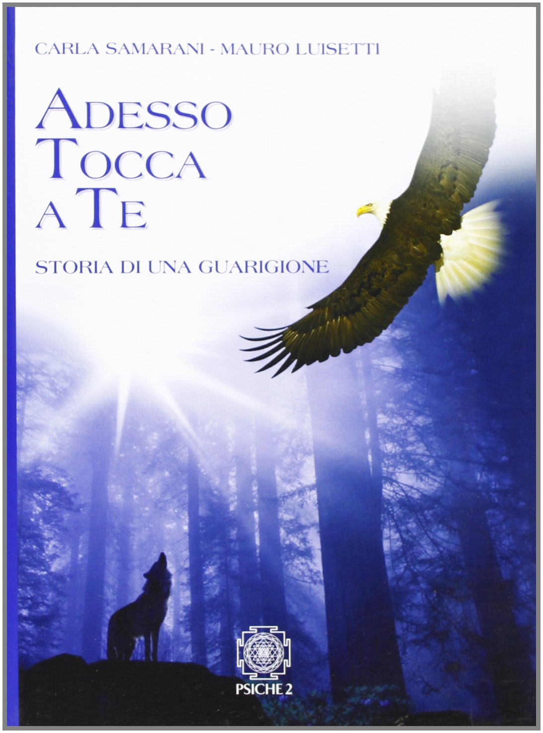 Adesso tocca a te. Storia di una guarigione book