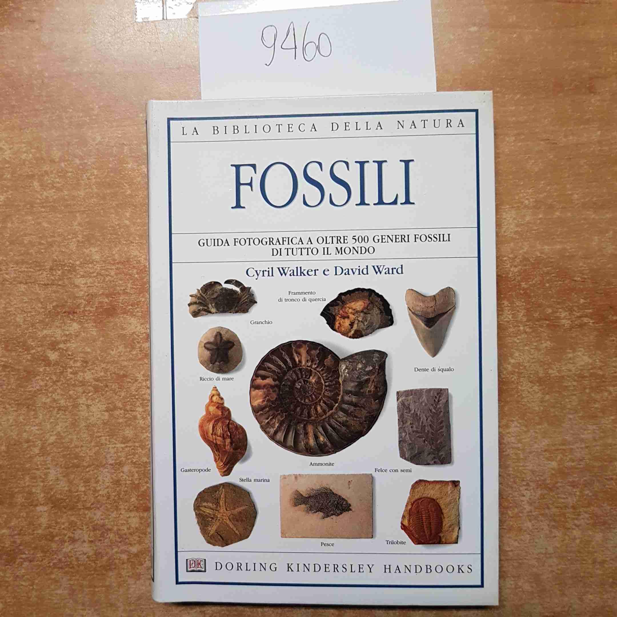 Fossili (Biblioteca della natura) Geology & Geography
