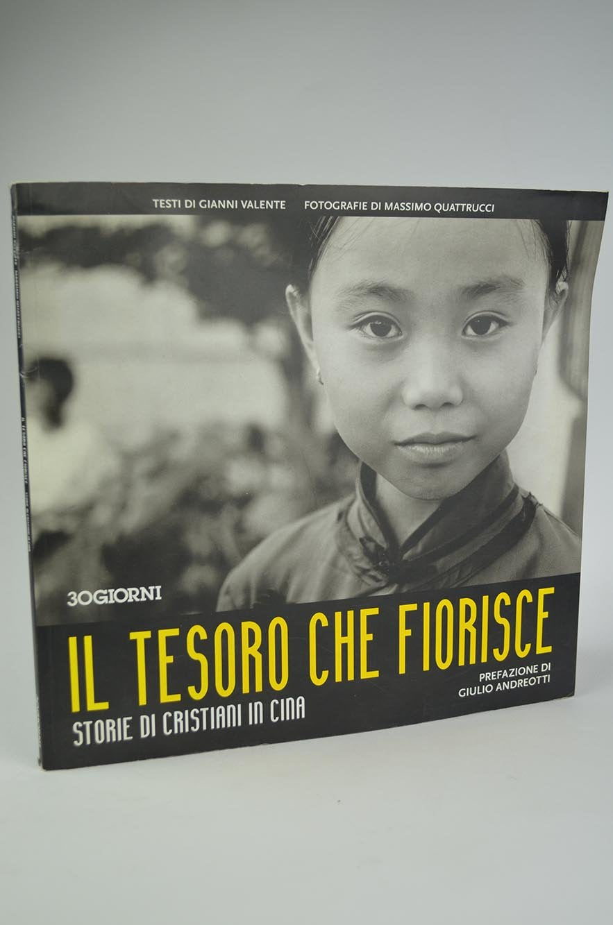Il tesoro che fiorisce. Storie di cristiani in Cina book
