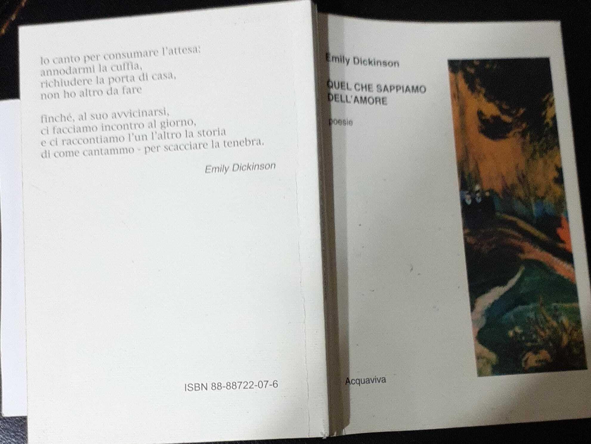 Quel che sappiamo dell'amore. Testo inglese a fronte book