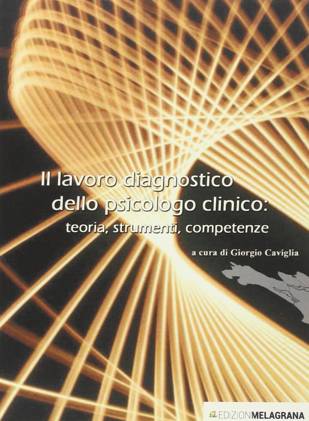 Il lavoro diagnostico dello psicologo clinico: teoria, strumenti, competenze book