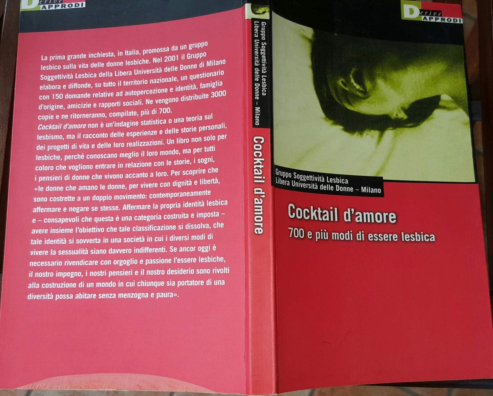 Cocktail d'amore. Settecento e più modi di essere lesbica book
