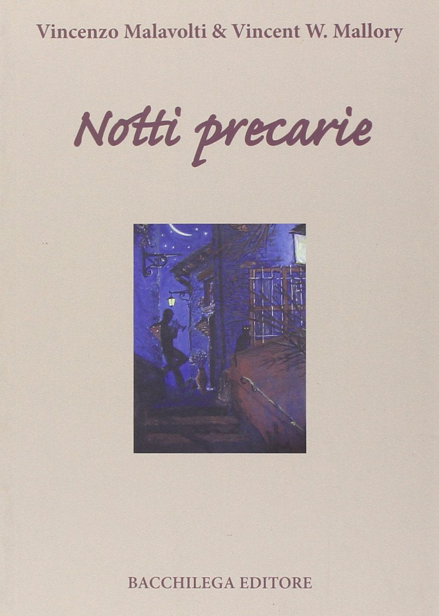 Notti precarie book