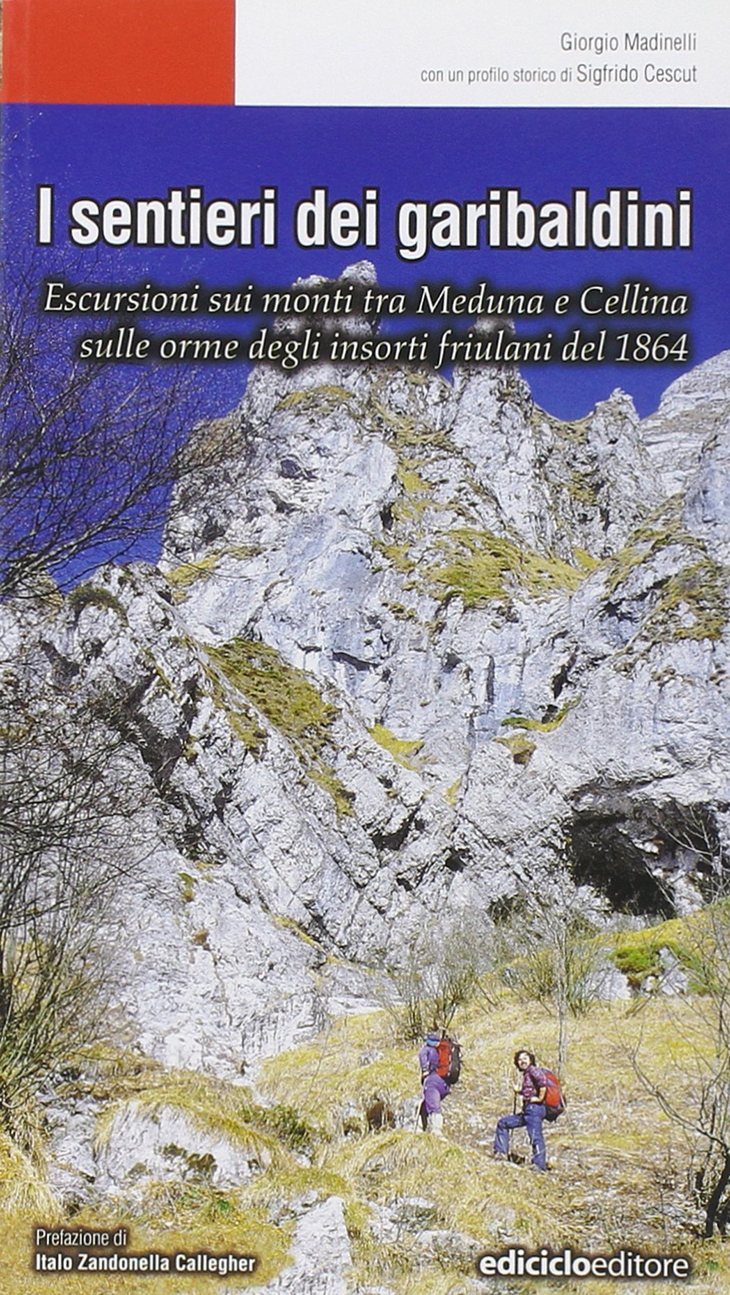 I sentieri dei garibaldini. Escursioni tra i monti tra Meduna e Cellina sulle orme degli insorti friulani del 1864 book