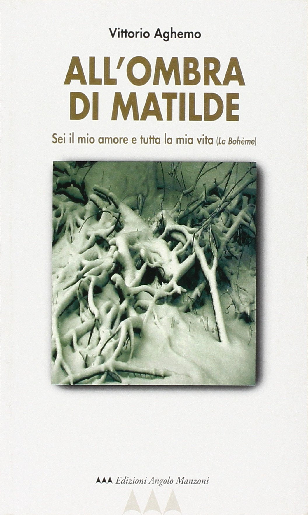All'ombra di Matilde. Sei il mio amore e tutta la mia vita (La Bohème) book