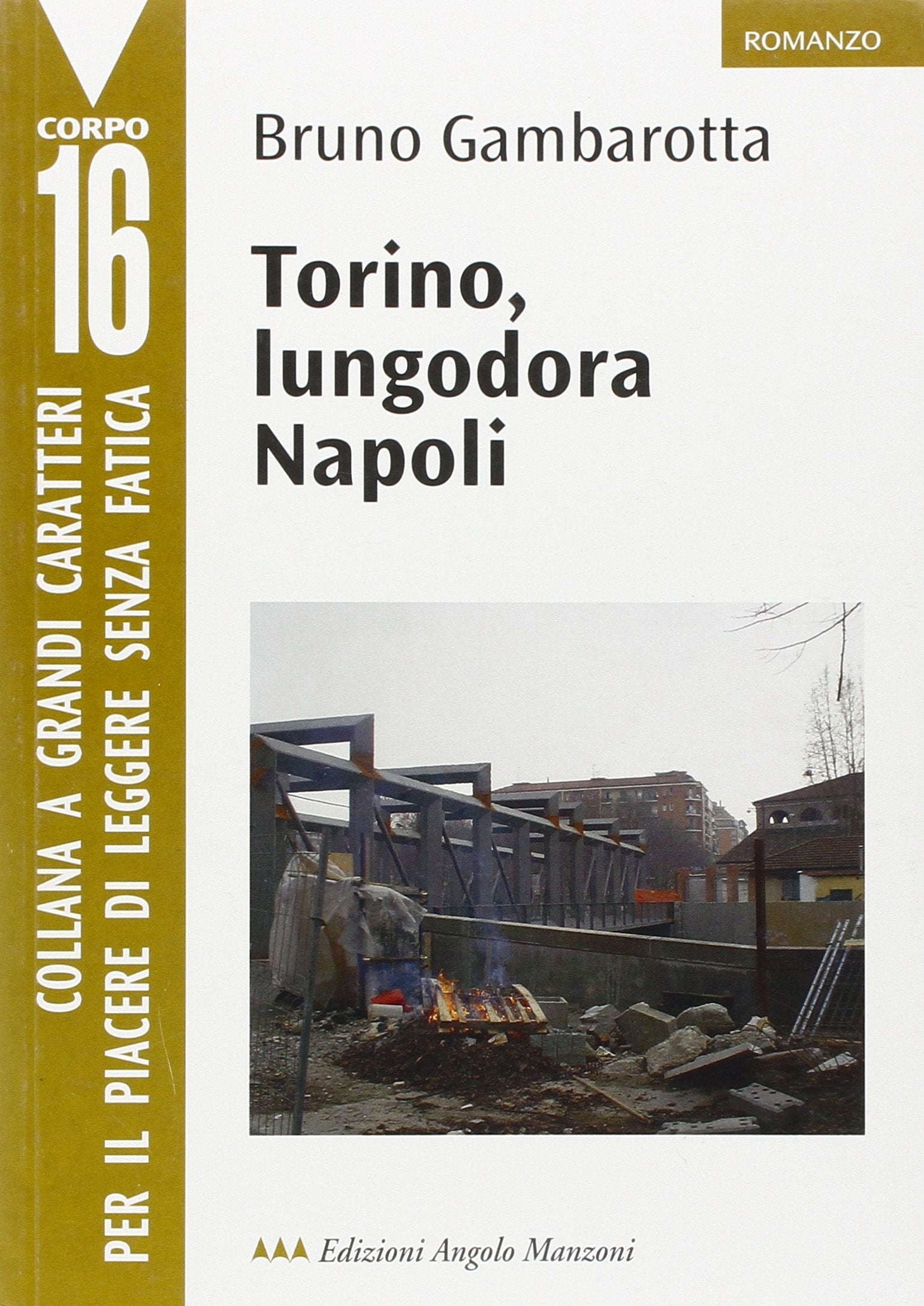 Torino, lungodora Napoli (Corpo 16) Contemporary literature