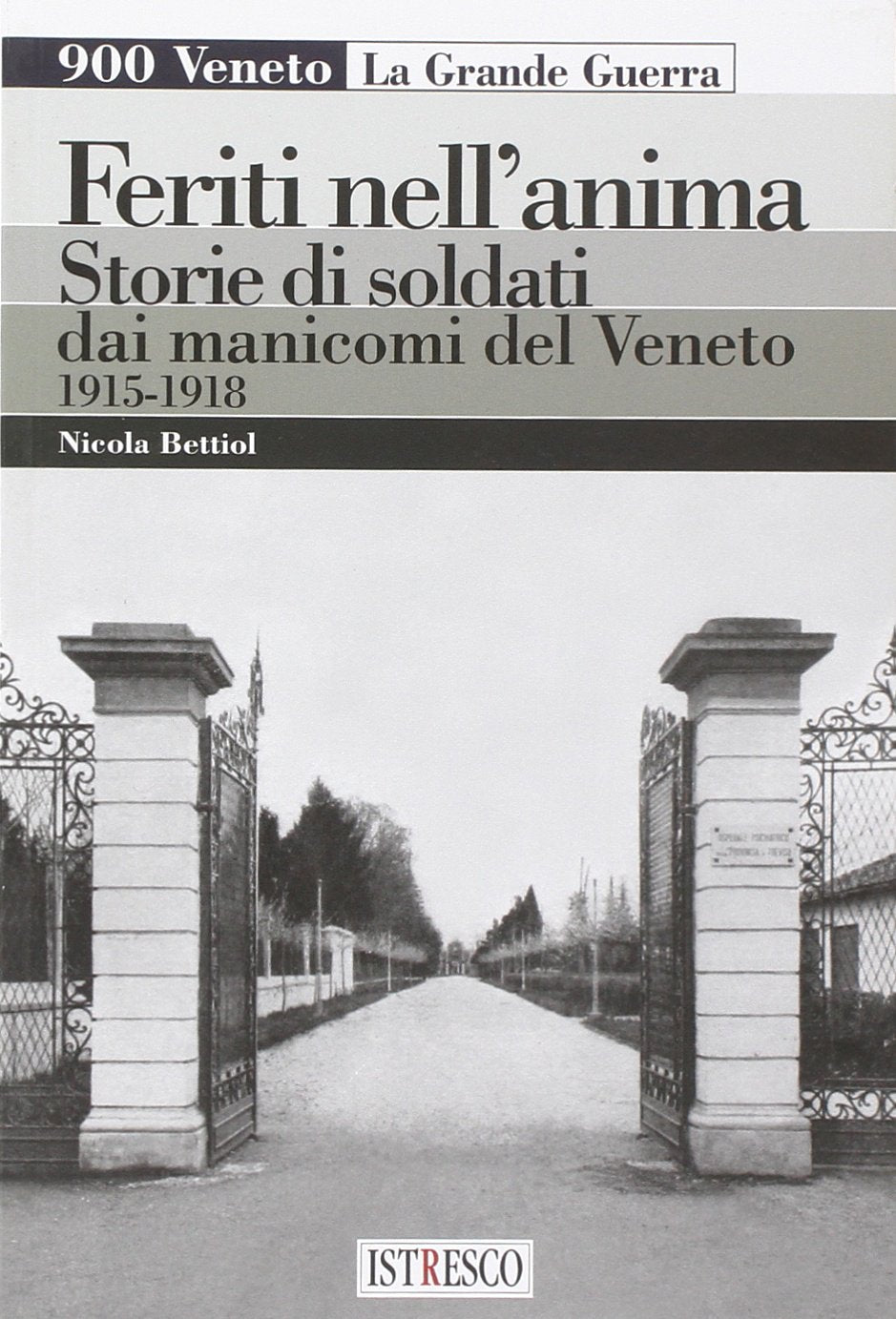 Feriti nell'anima. Storie di soldati dai manicomi del Veneto 1915-1918 (900 Veneto. La grande guerra) Politics & History