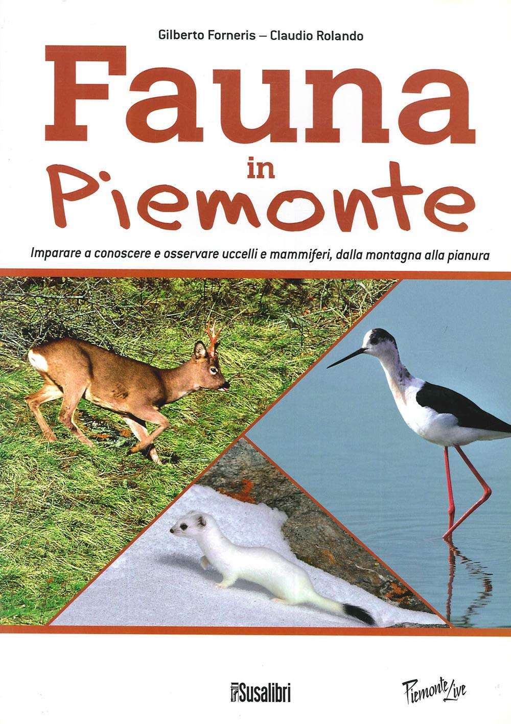 Fauna In Piemonte. Imparare a conoscere e osservare uccelli e mammiferi, dalla montagna alla pianura (Piemonte live) Leisure, Home & Garden