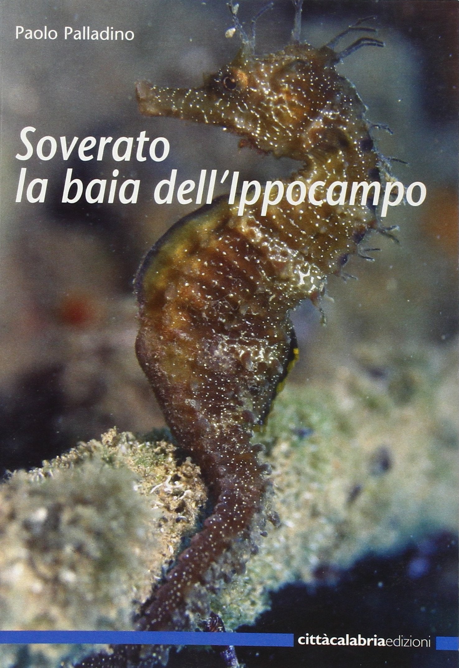 Soverato la baia dell'ippocampo book