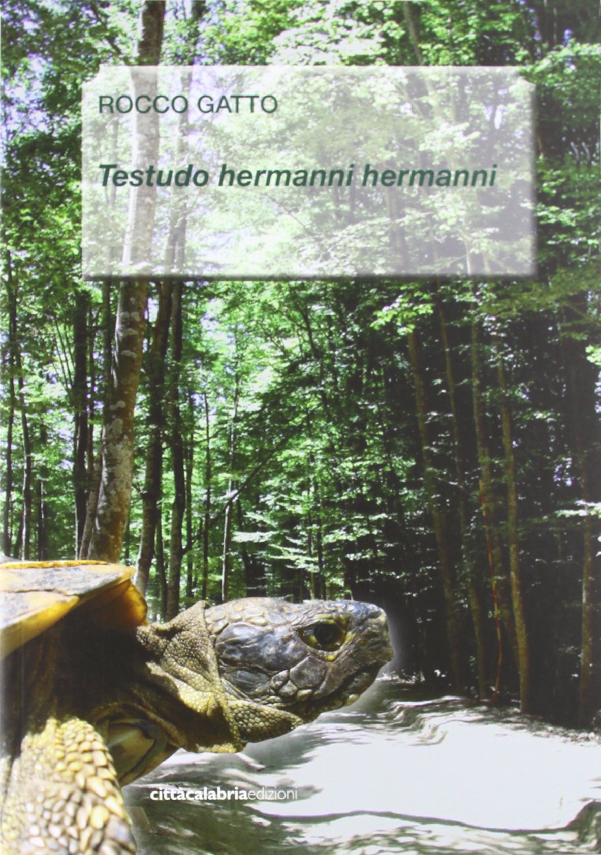 Testudo Hermanni Hermanni Natural Sciences