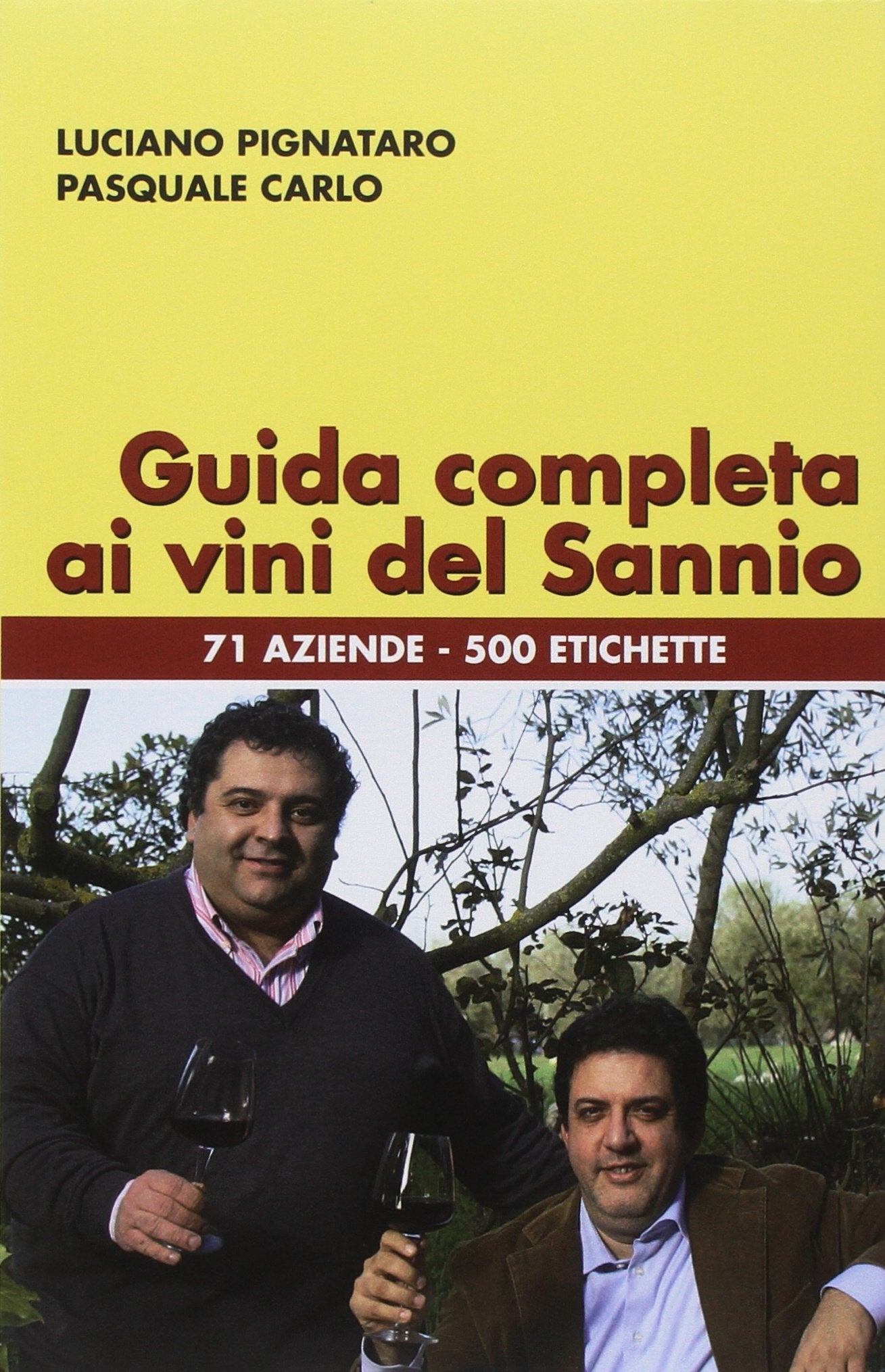 Guida completa ai vini del Sannio book